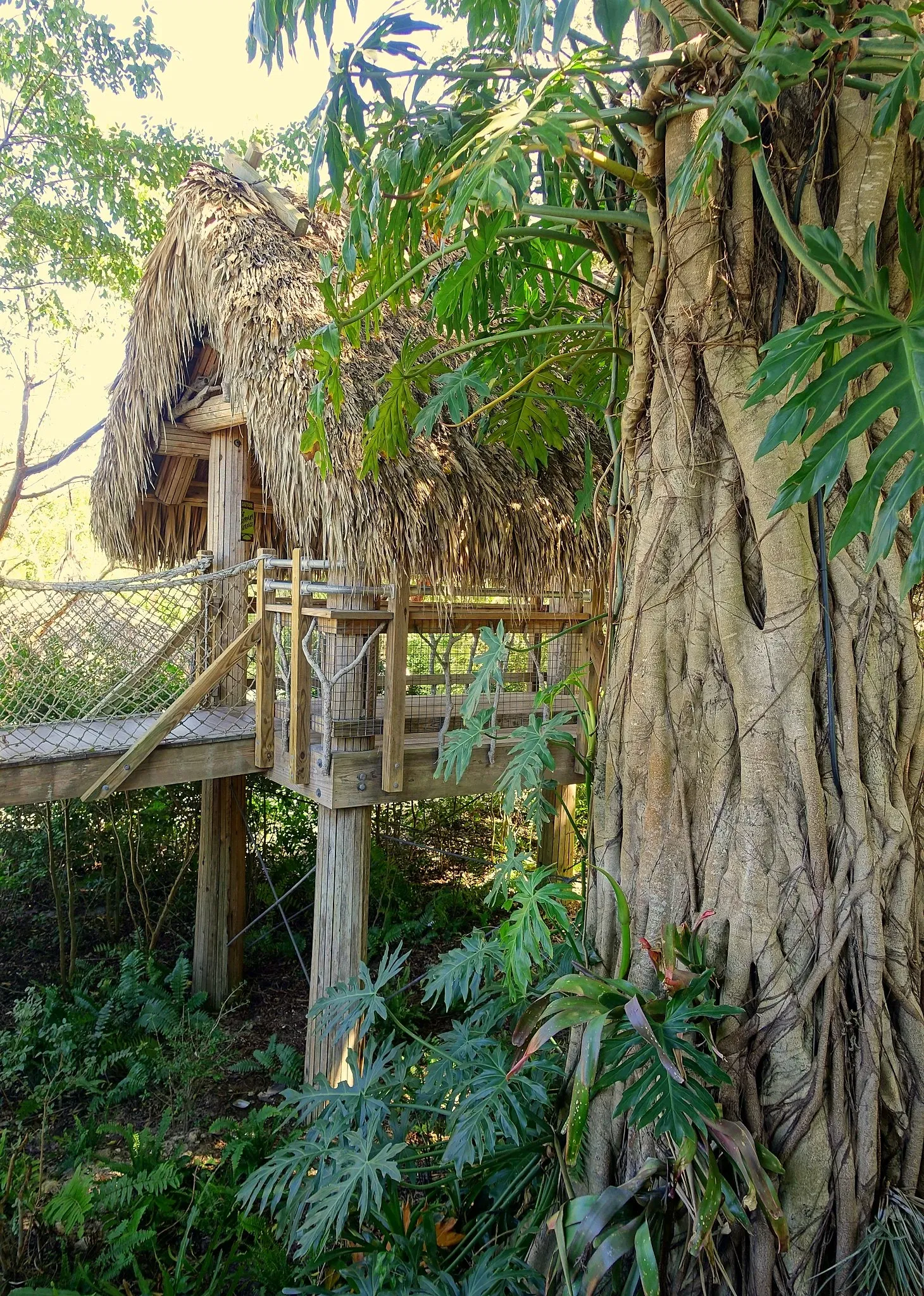 Naples Botanical Garden