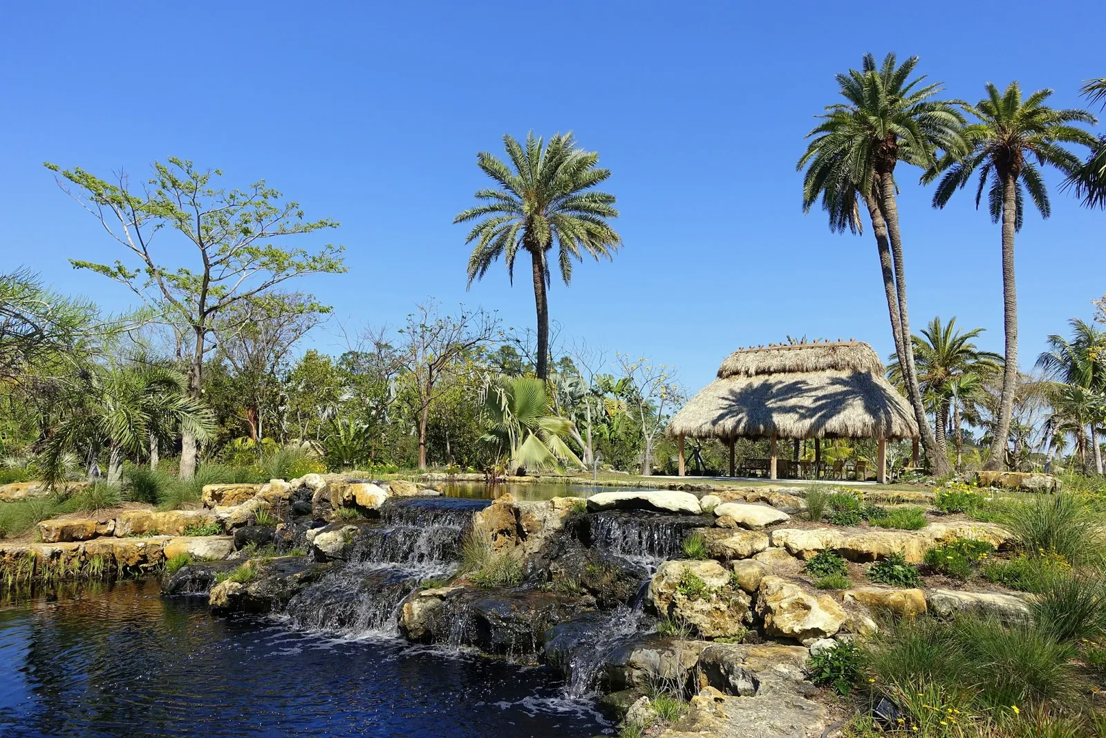 Jardín botánico de Naples