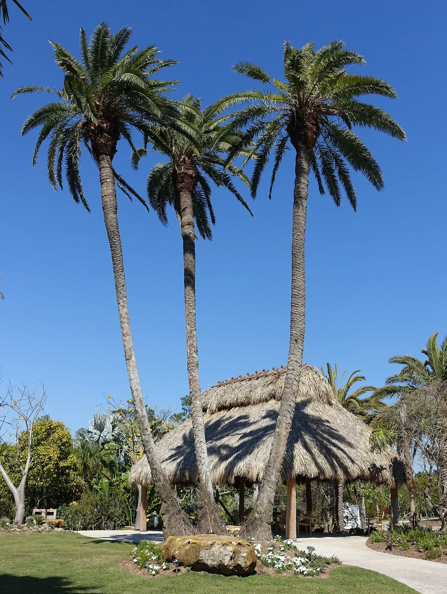 Jardín botánico de Naples