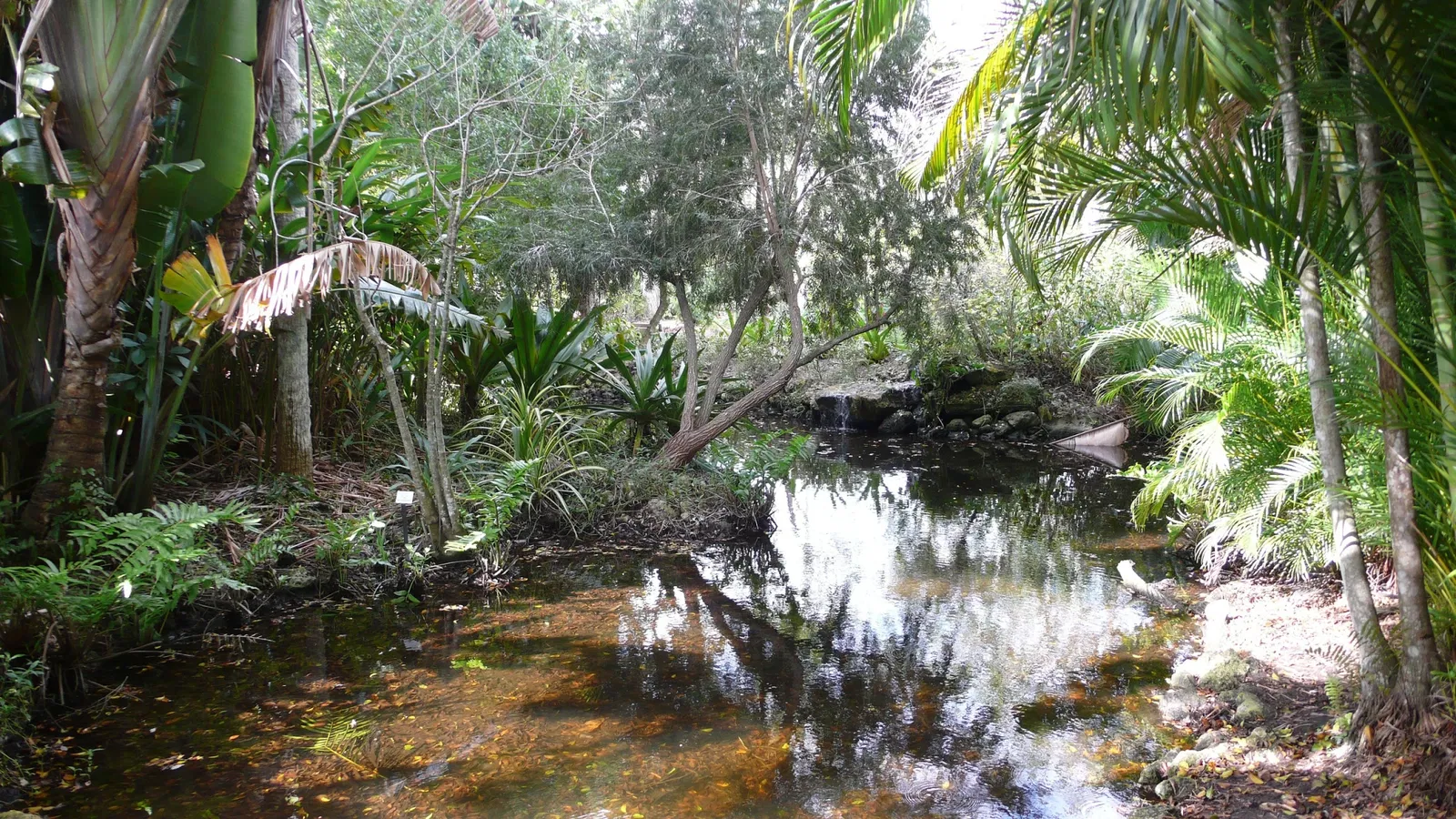Jardín botánico de Naples