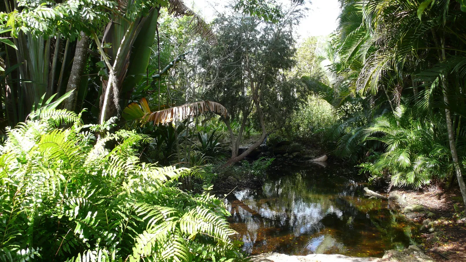 Jardín botánico de Naples