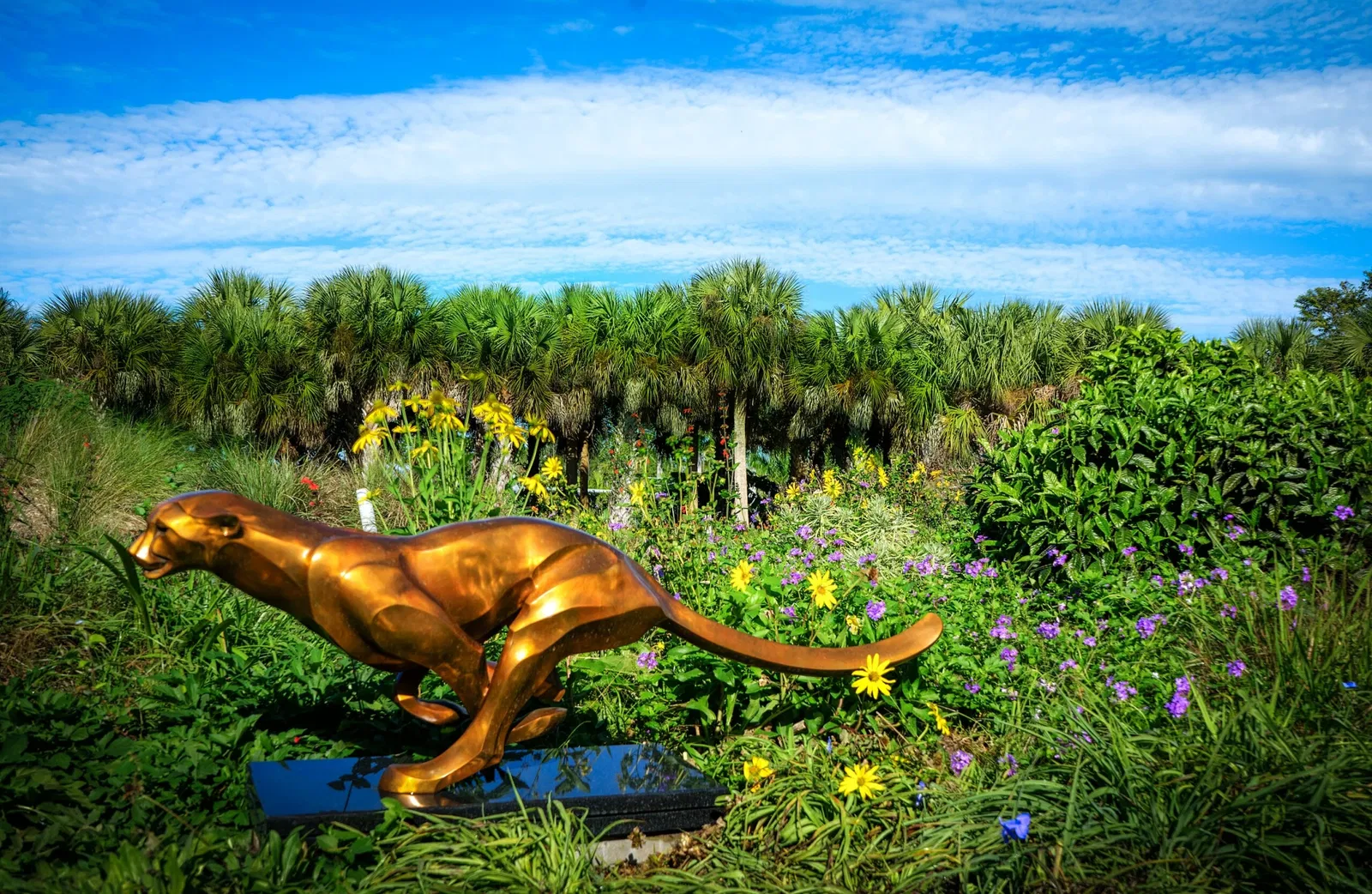 Jardín botánico de Naples