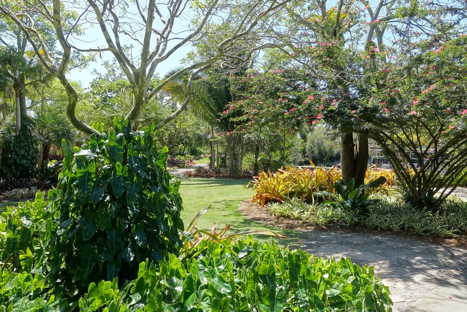 Naples Botanical Garden
