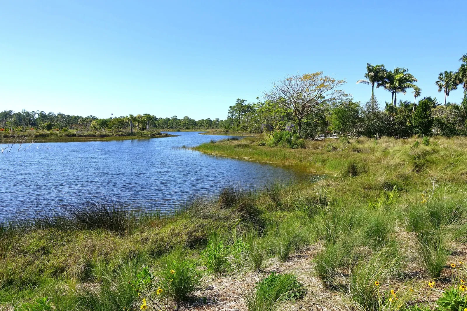 Naples Botanical Garden