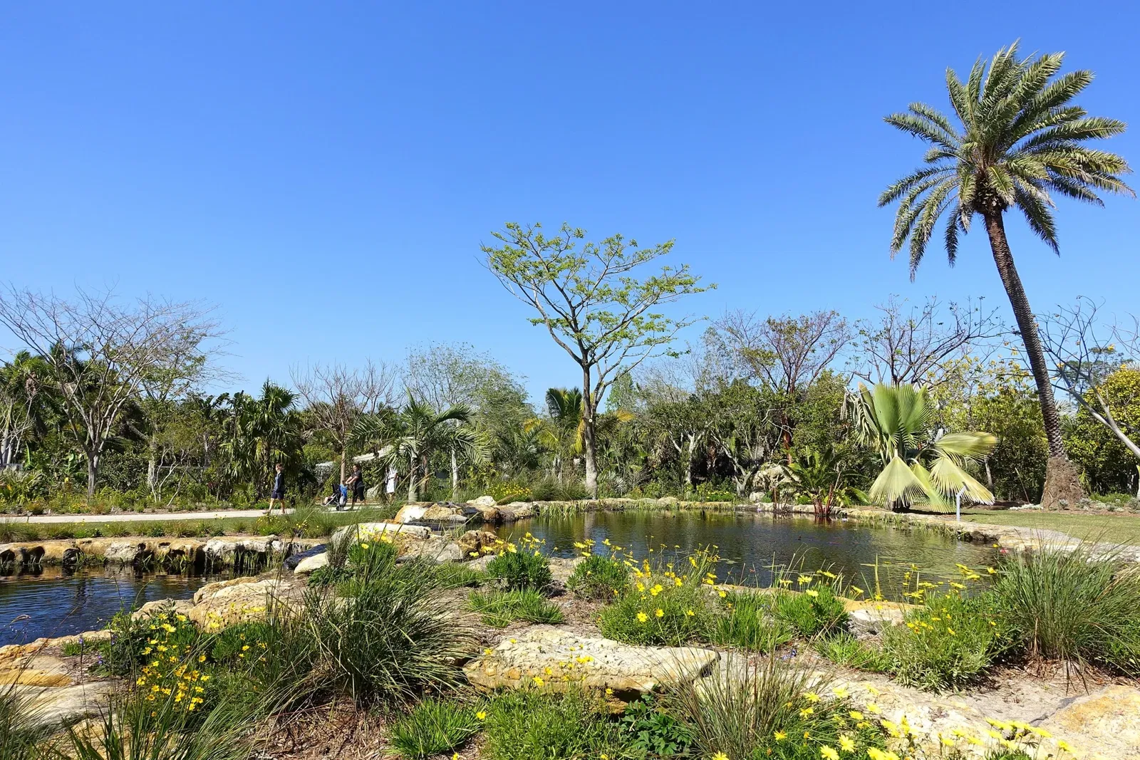 Naples Botanical Garden