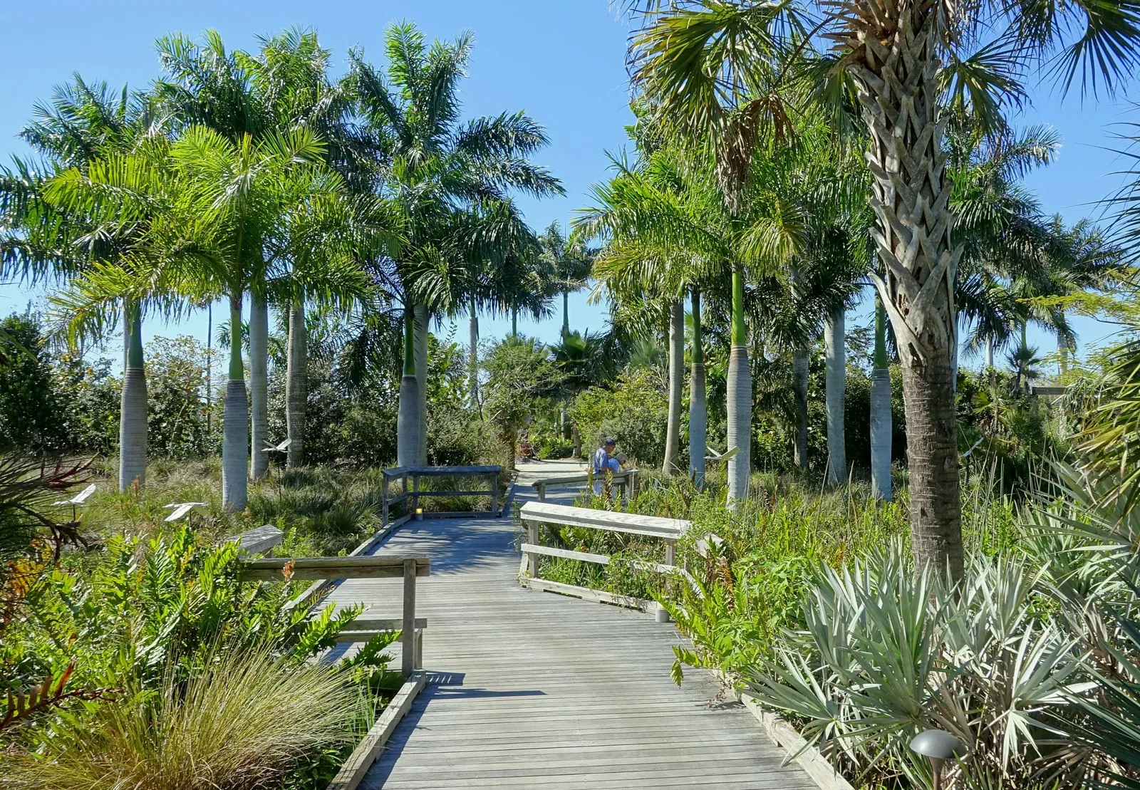 Jardín botánico de Naples