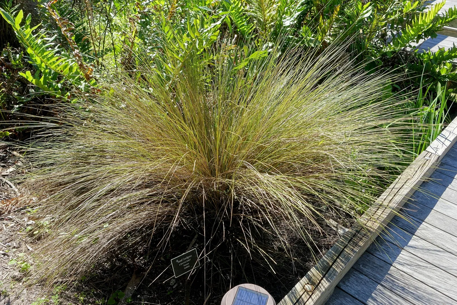 Jardín botánico de Naples