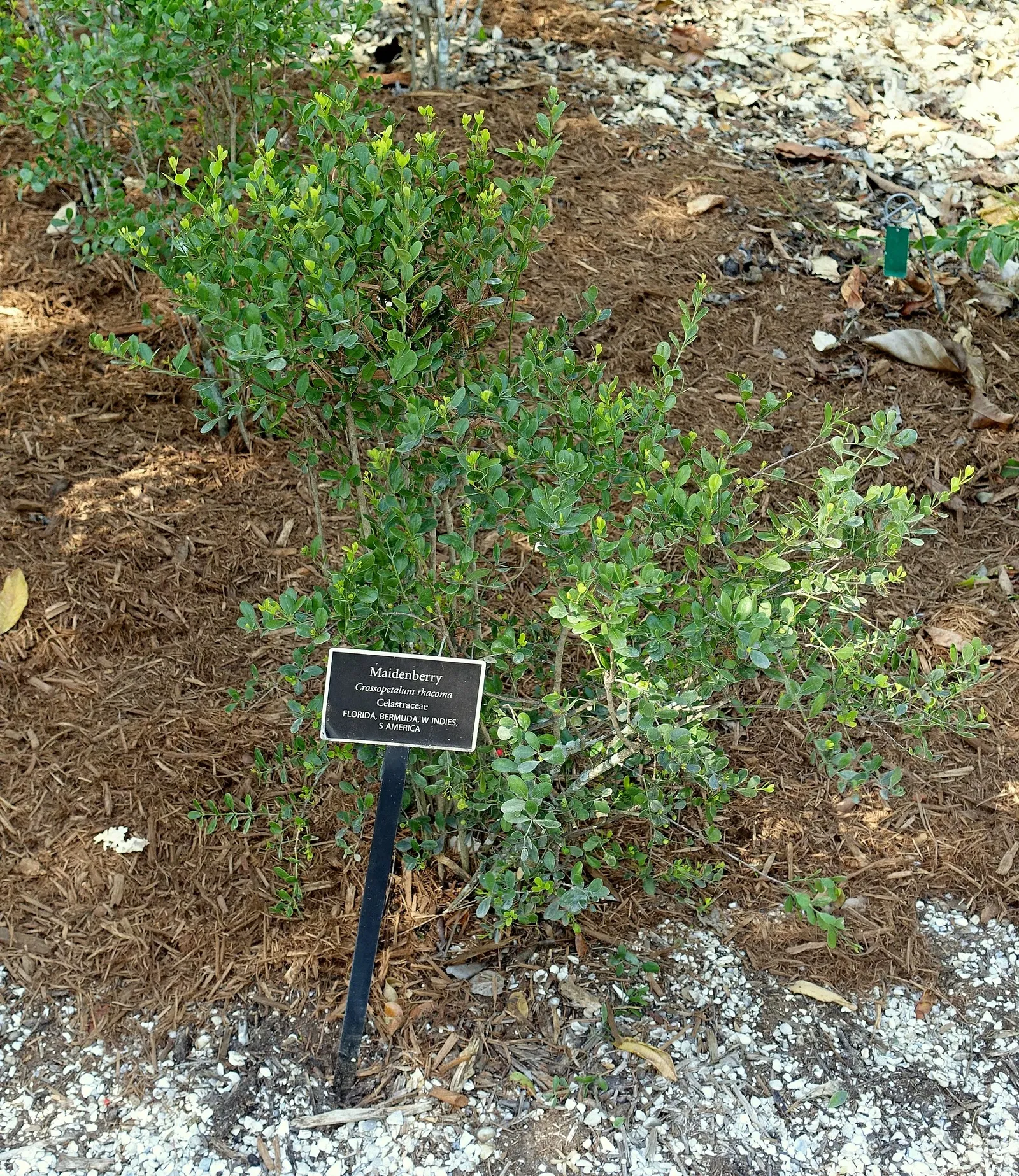 Naples Botanical Garden