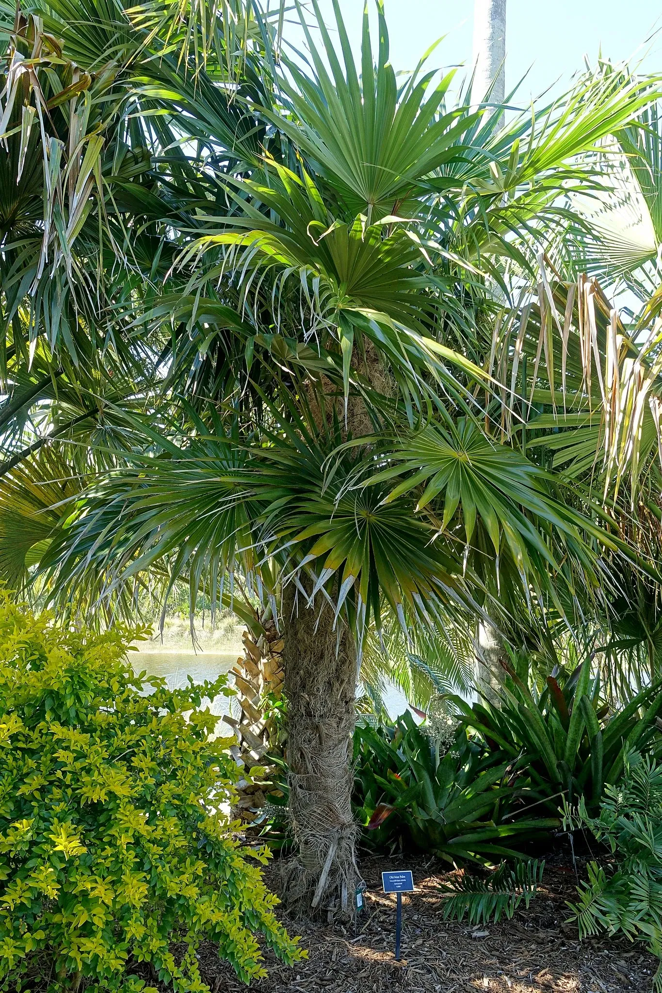 Naples Botanical Garden