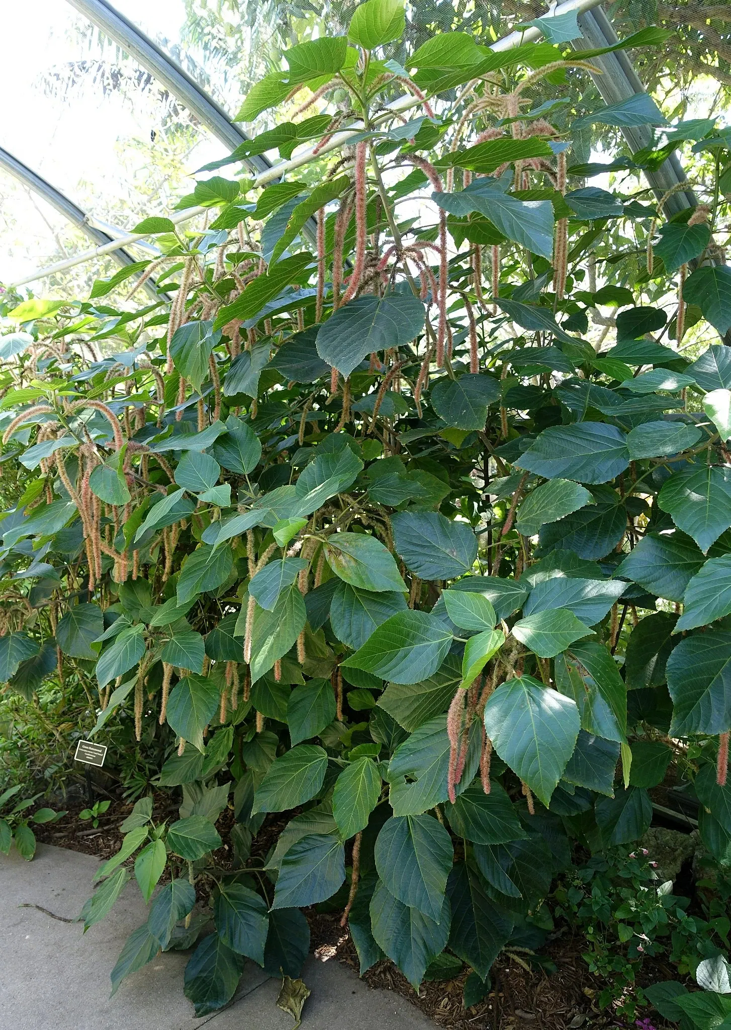 Naples Botanical Garden