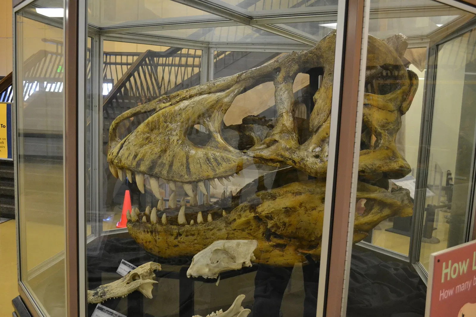 Lawrence Hall of Science