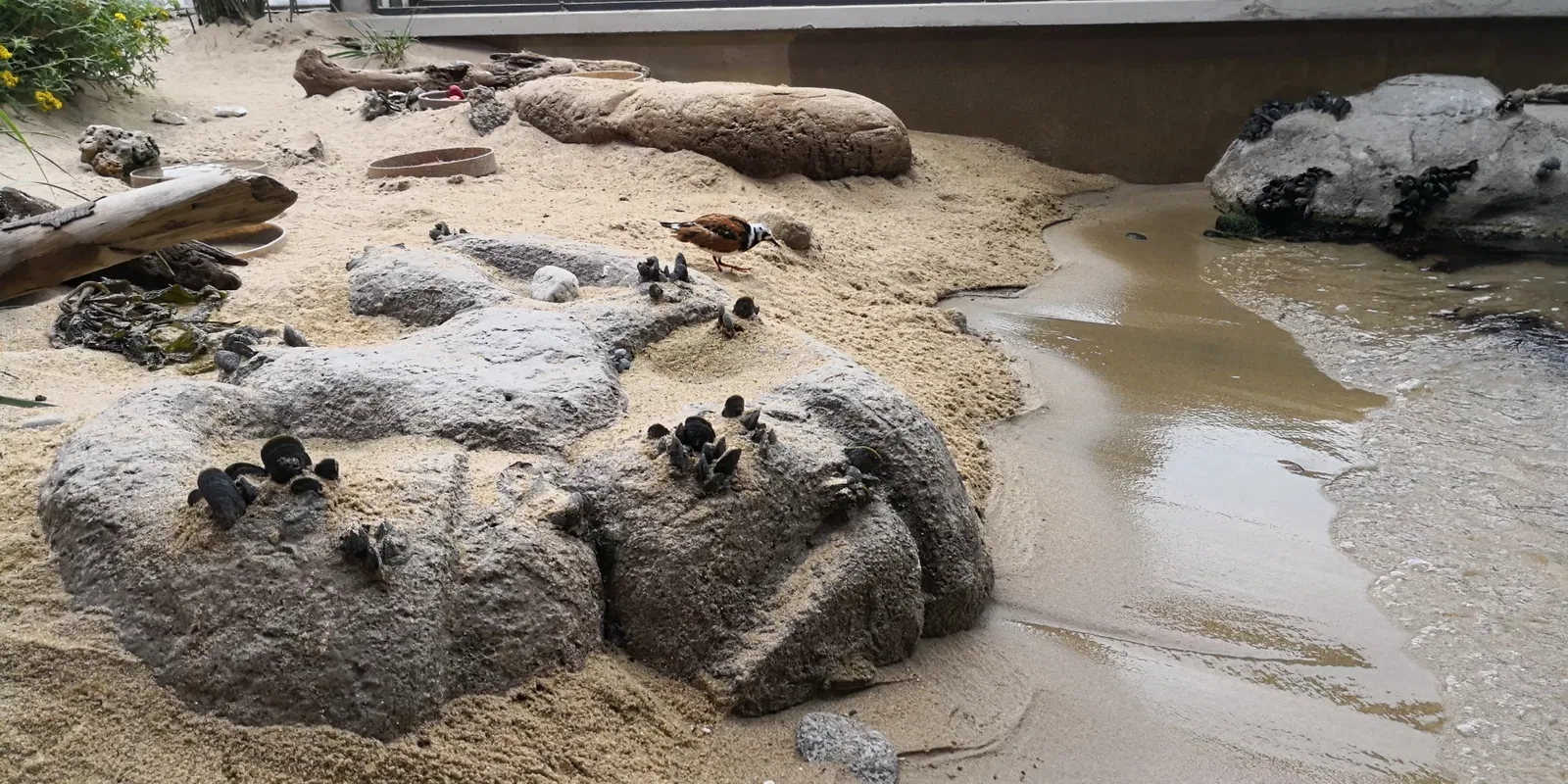 Acuario de la bahía de Monterey