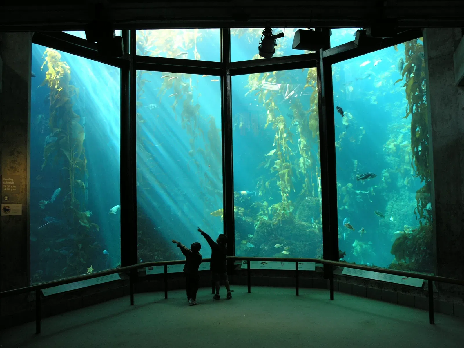 Acuario de la bahía de Monterey