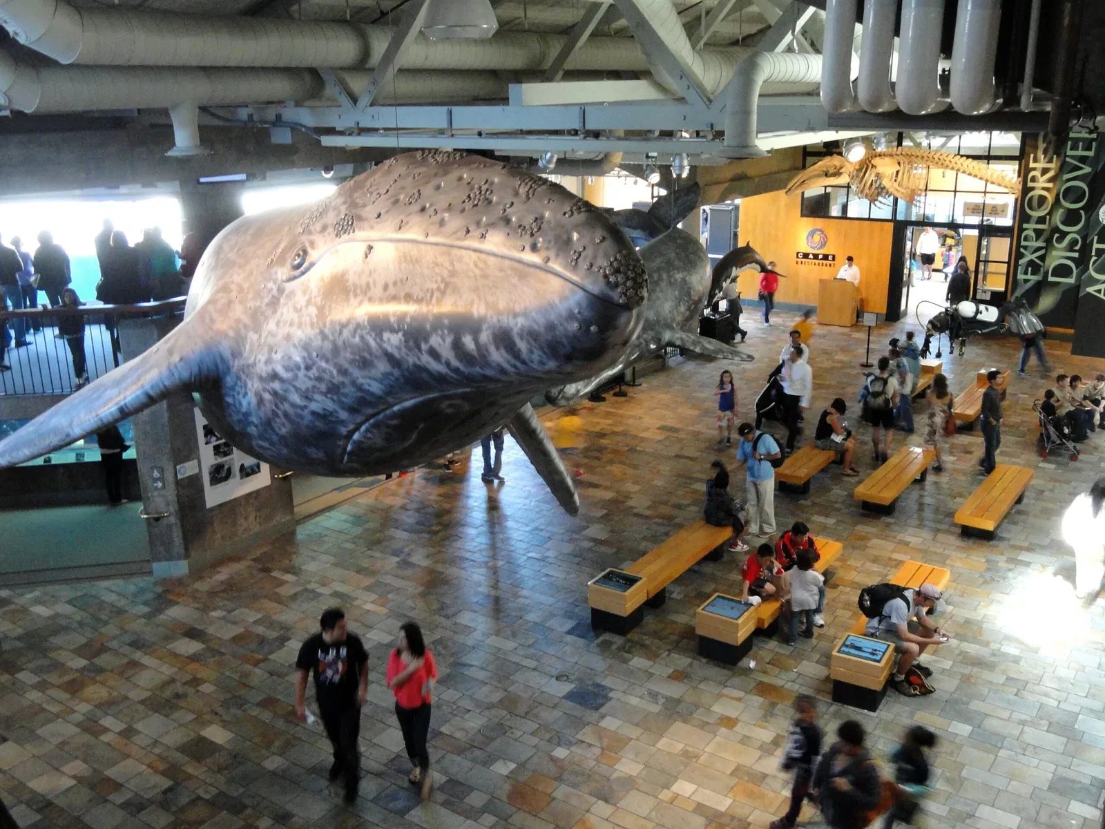 Acuario de la bahía de Monterey