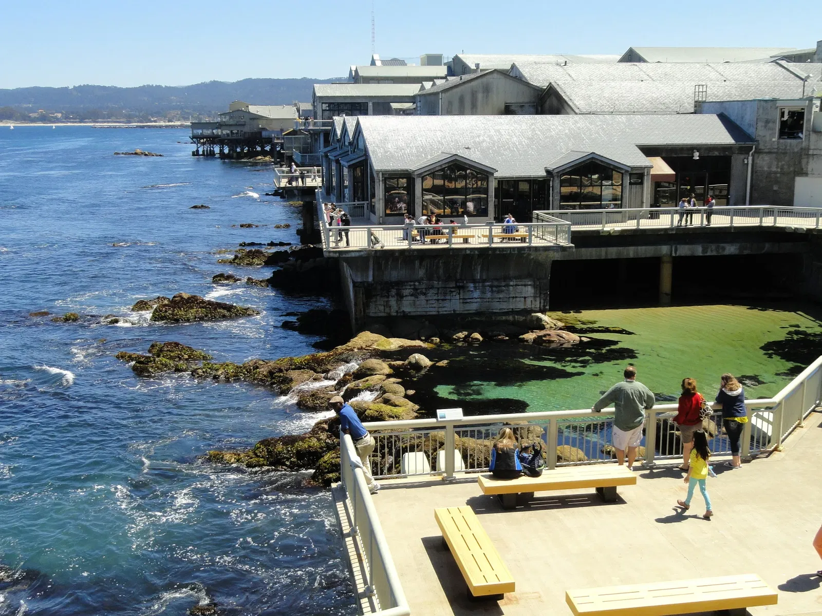 Acuario de la bahía de Monterey