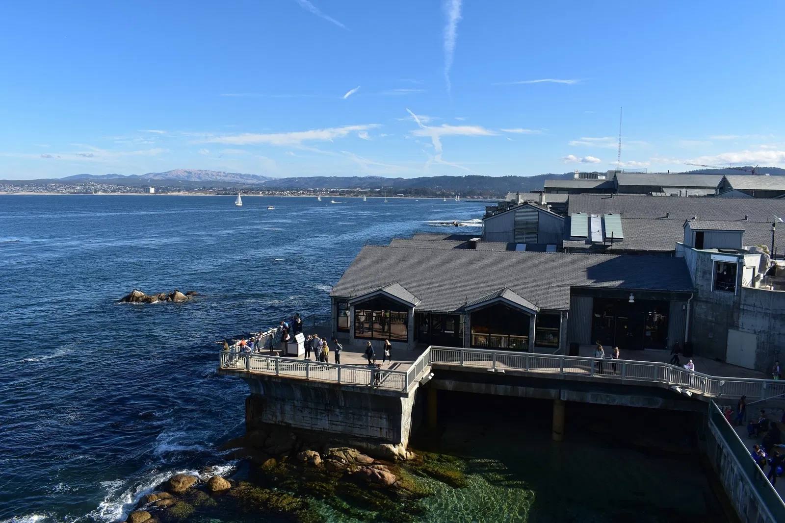 Acuario de la bahía de Monterey