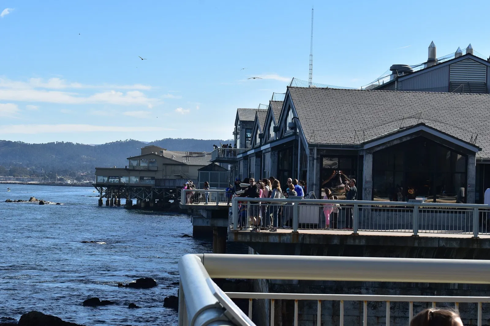 Acuario de la bahía de Monterey