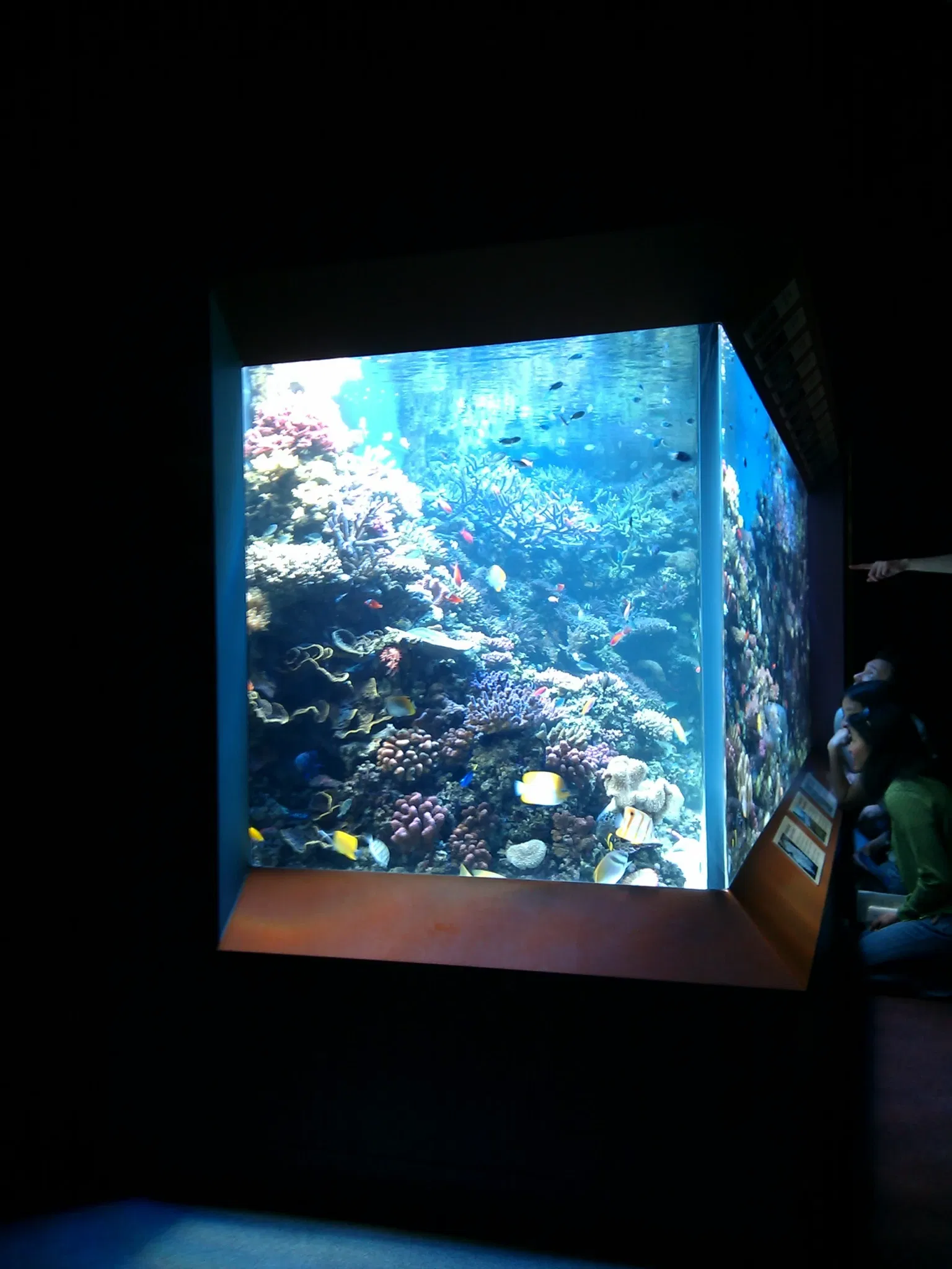 Acuario de la bahía de Monterey