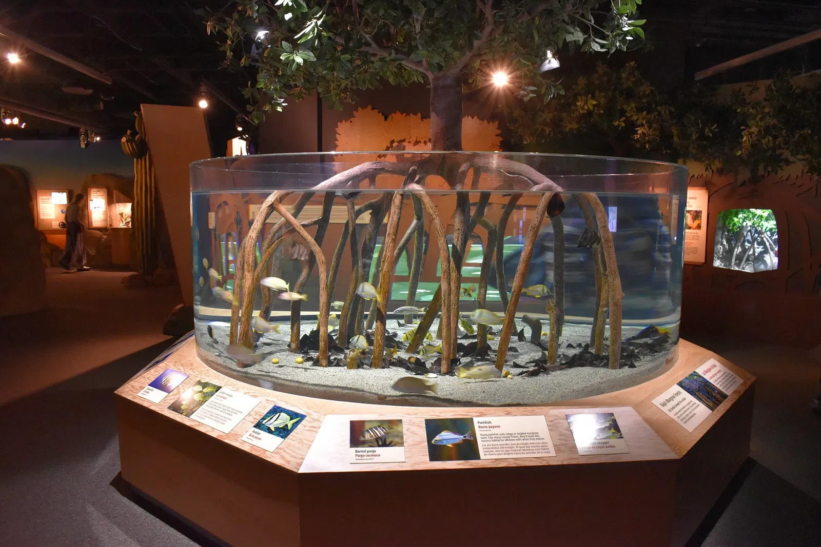 Acuario de la bahía de Monterey