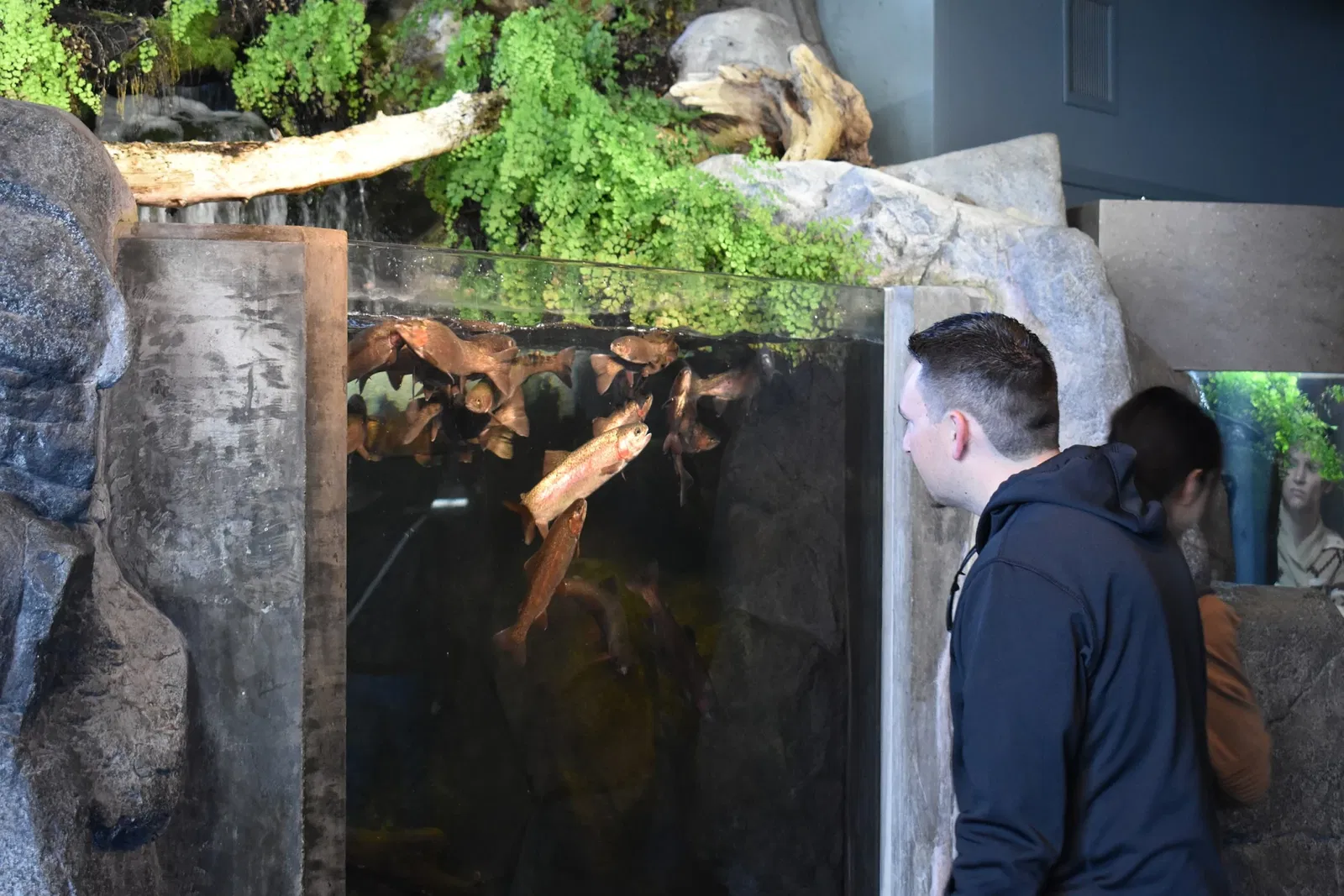 Acuario de la bahía de Monterey