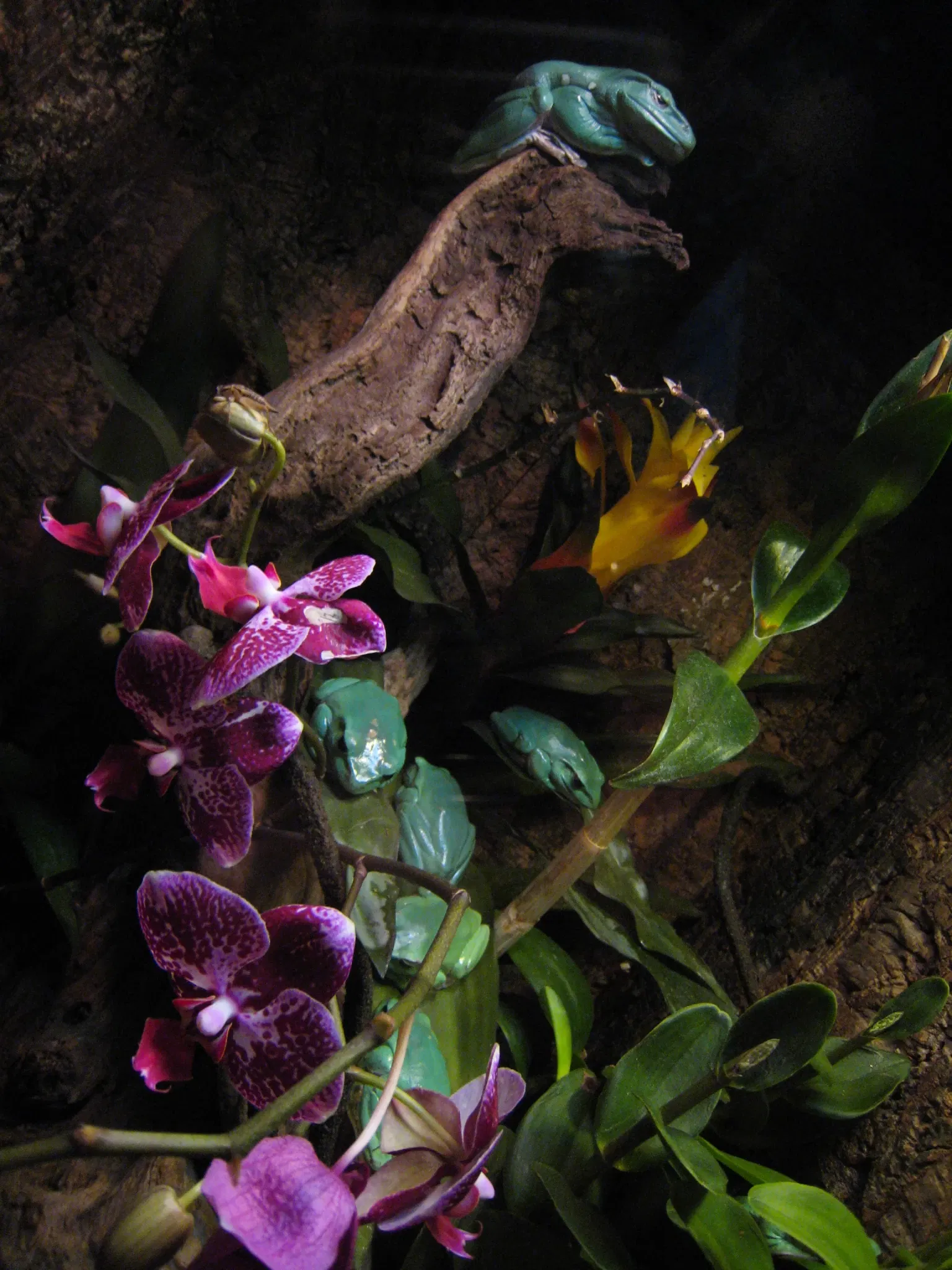 Acuario de la bahía de Monterey