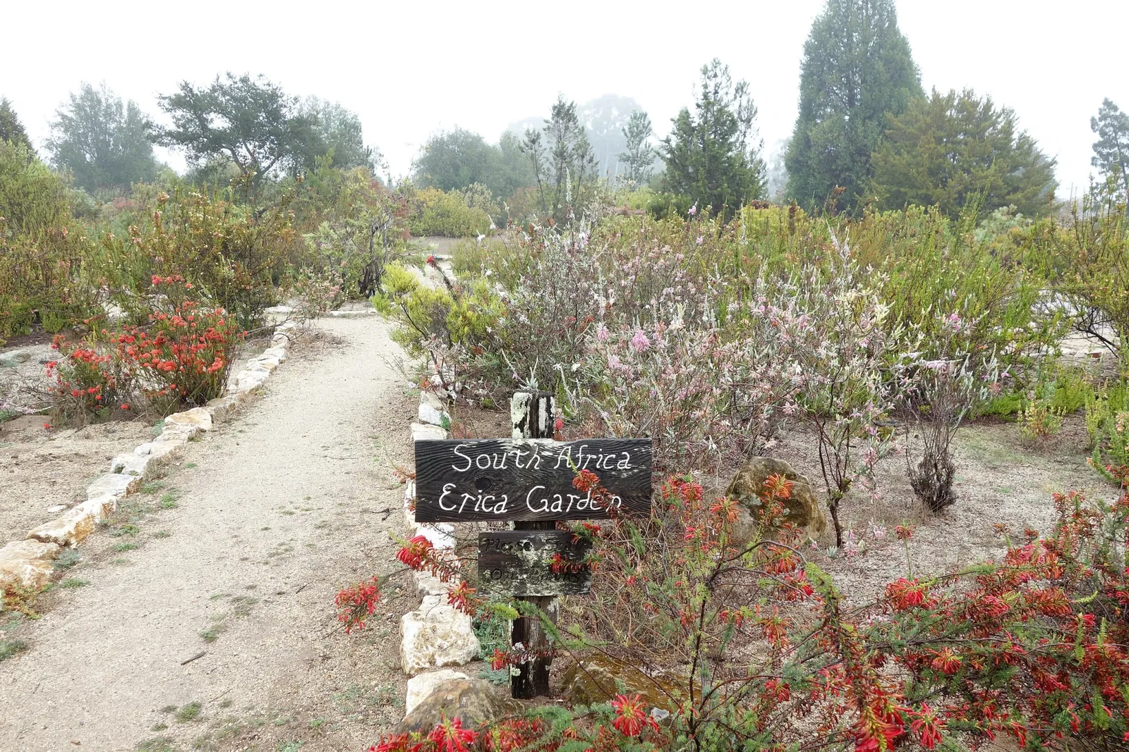 University of California Santa Cruz Arboretum