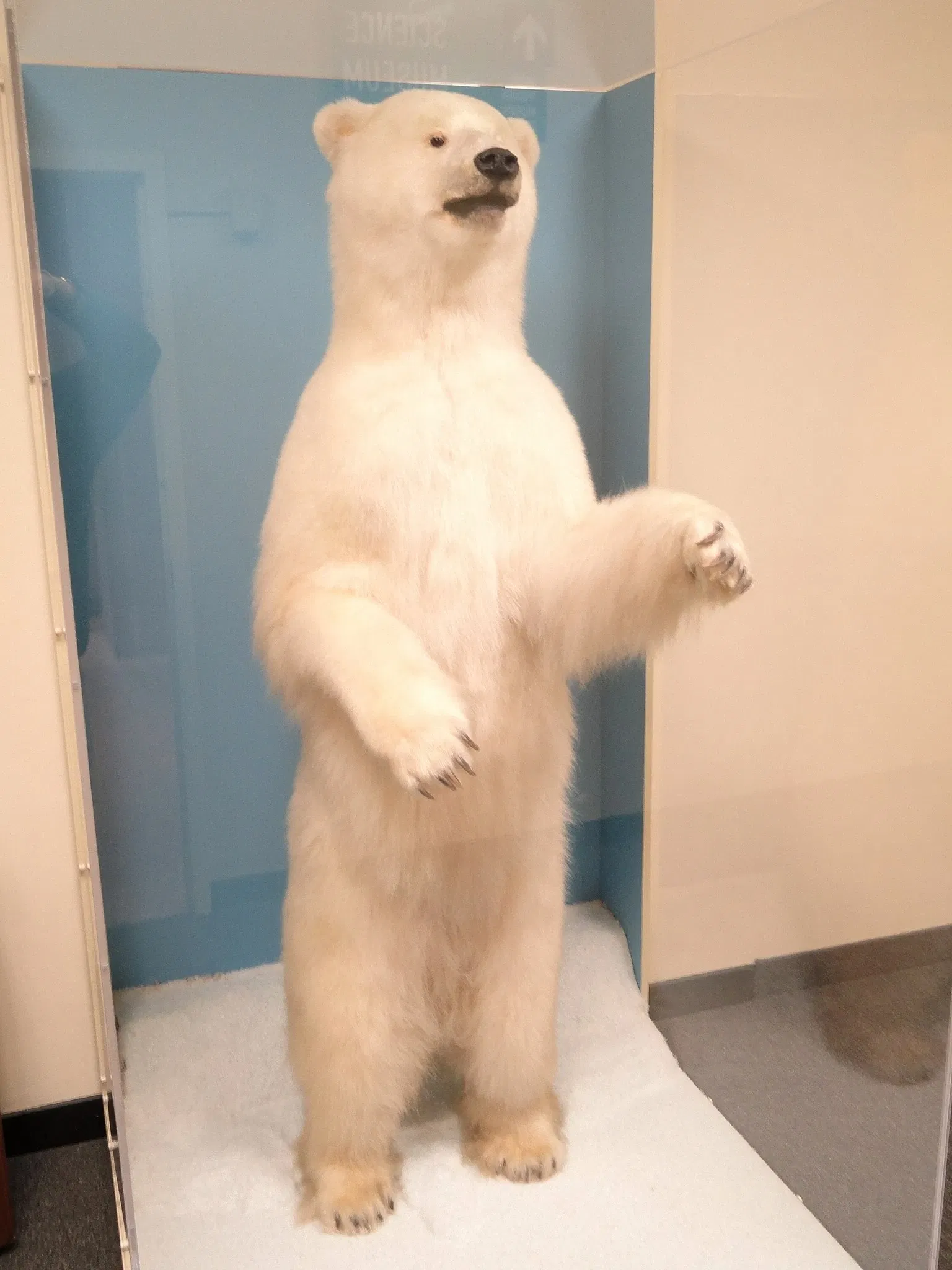 Springfield Science Museum