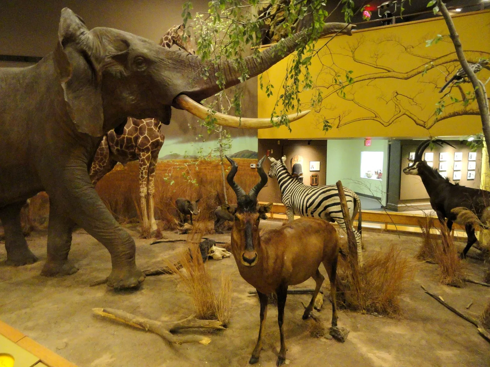 Museo de Ciencias de Springfield