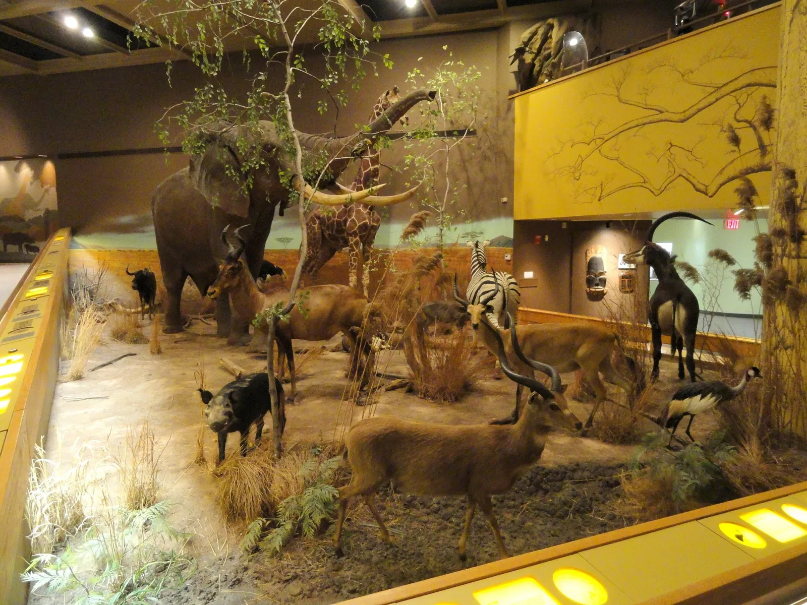 Museo de Ciencias de Springfield