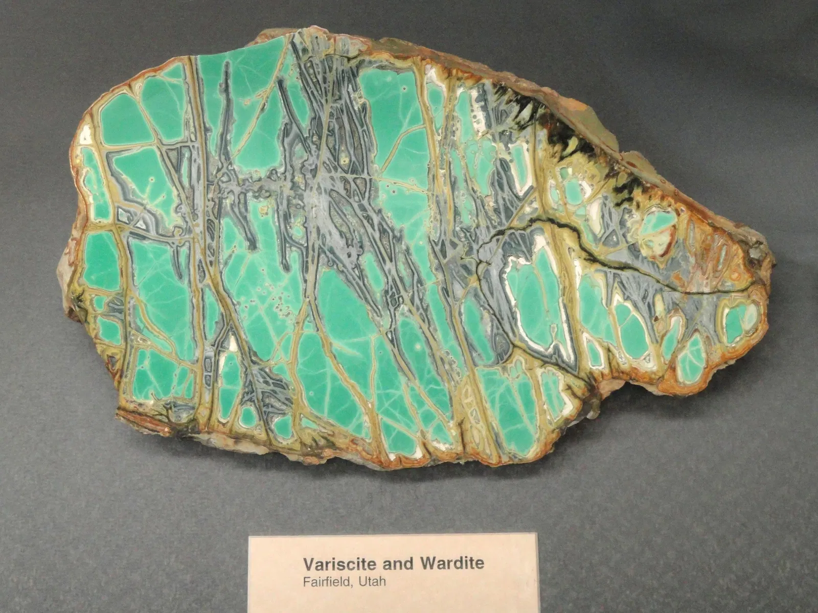 Springfield Science Museum