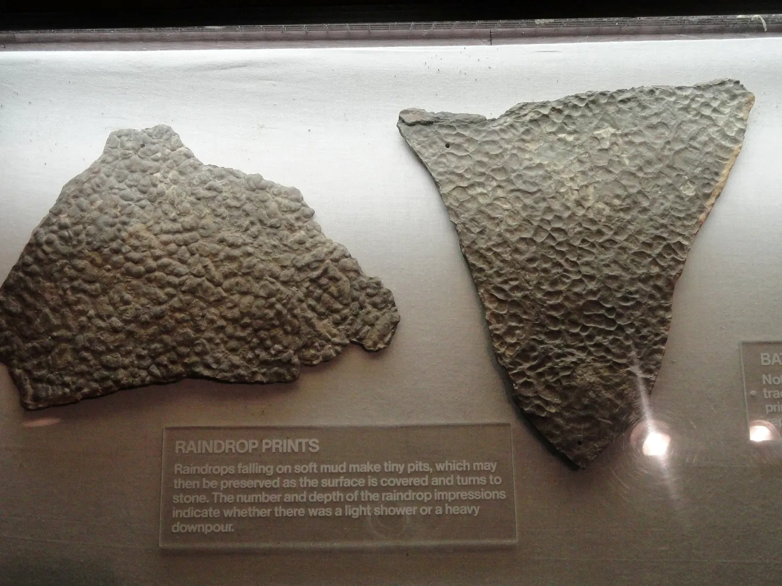 Museo de Ciencias de Springfield