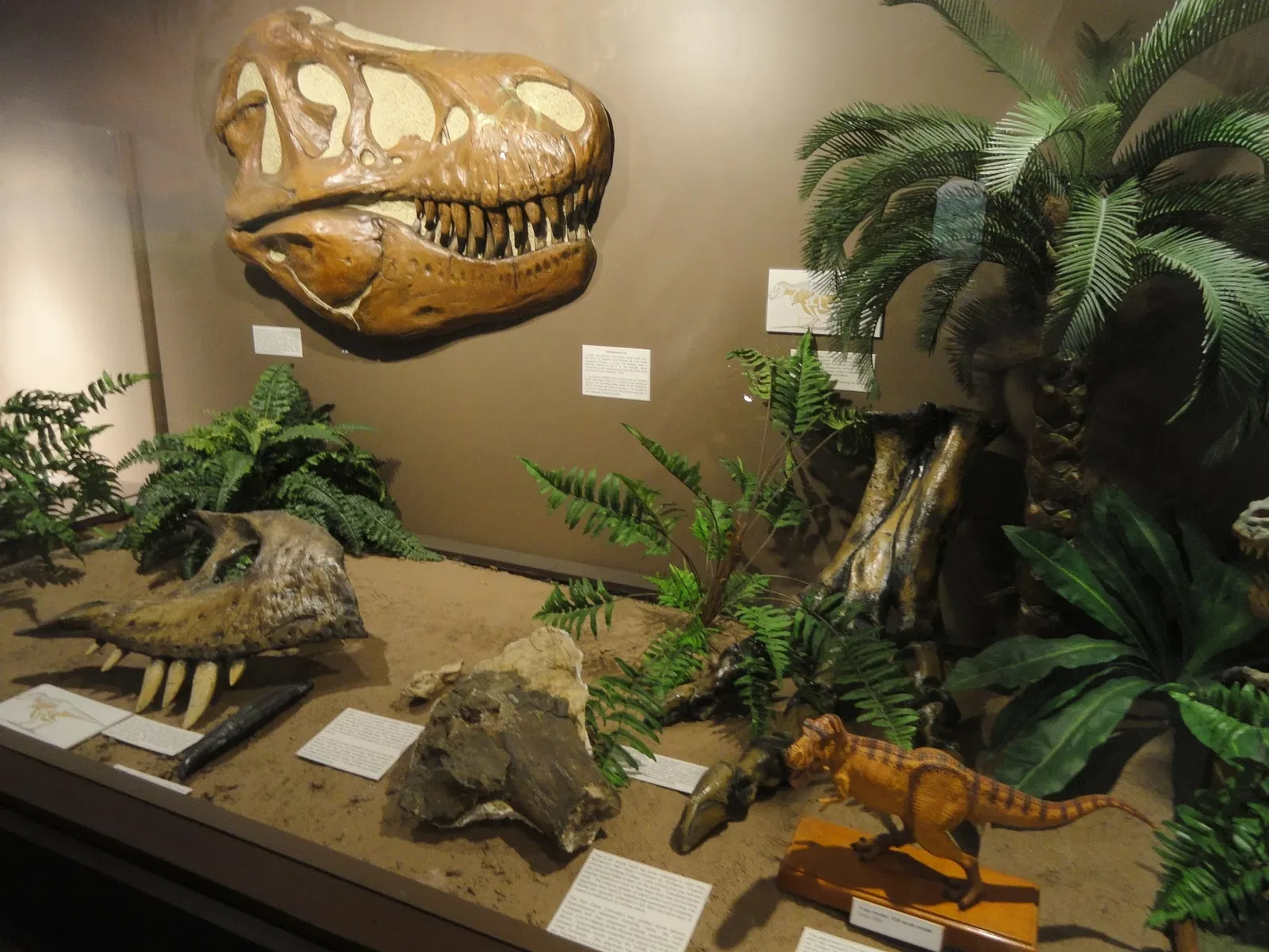 Museo de Ciencias de Springfield