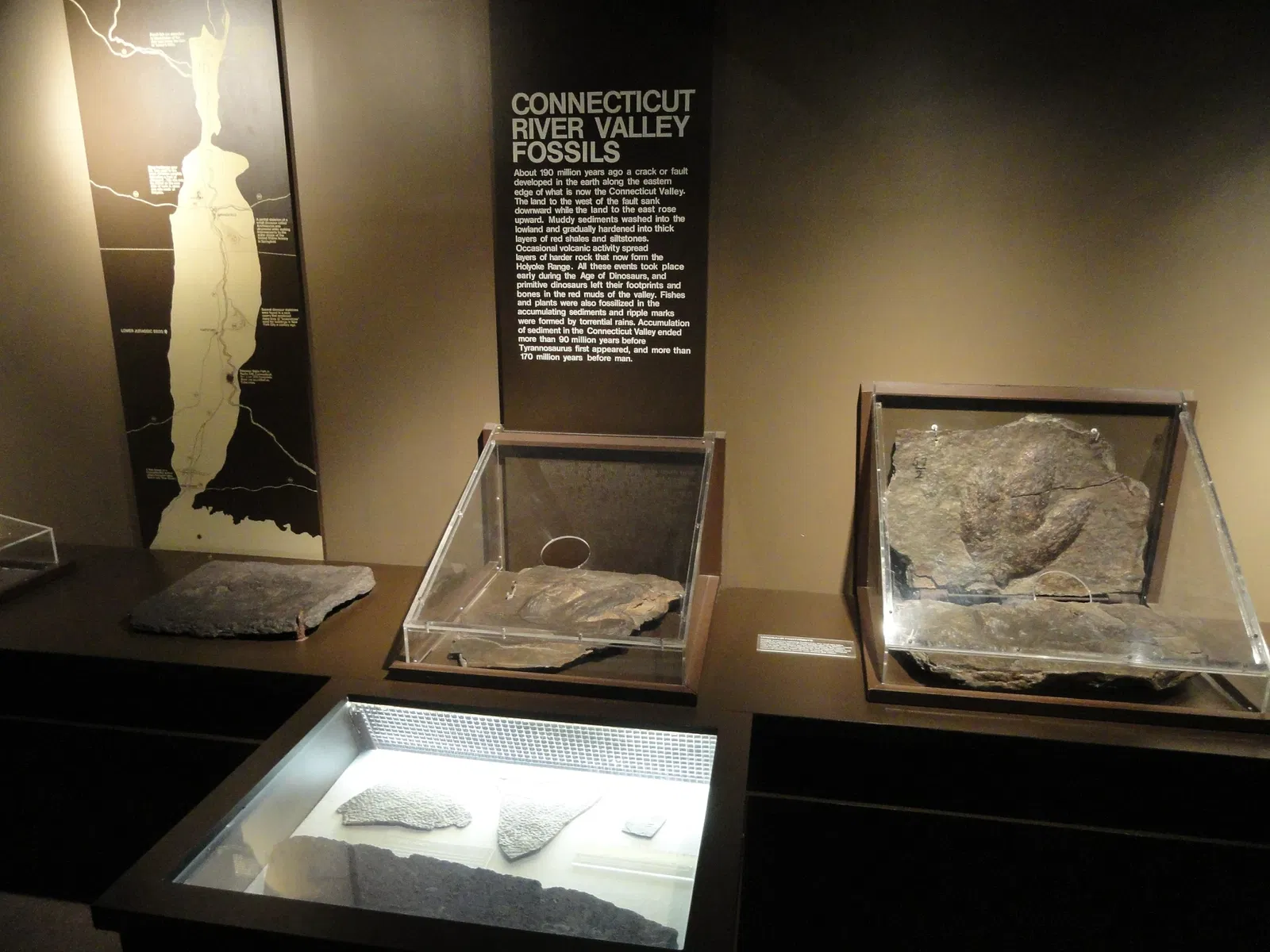 Springfield Science Museum