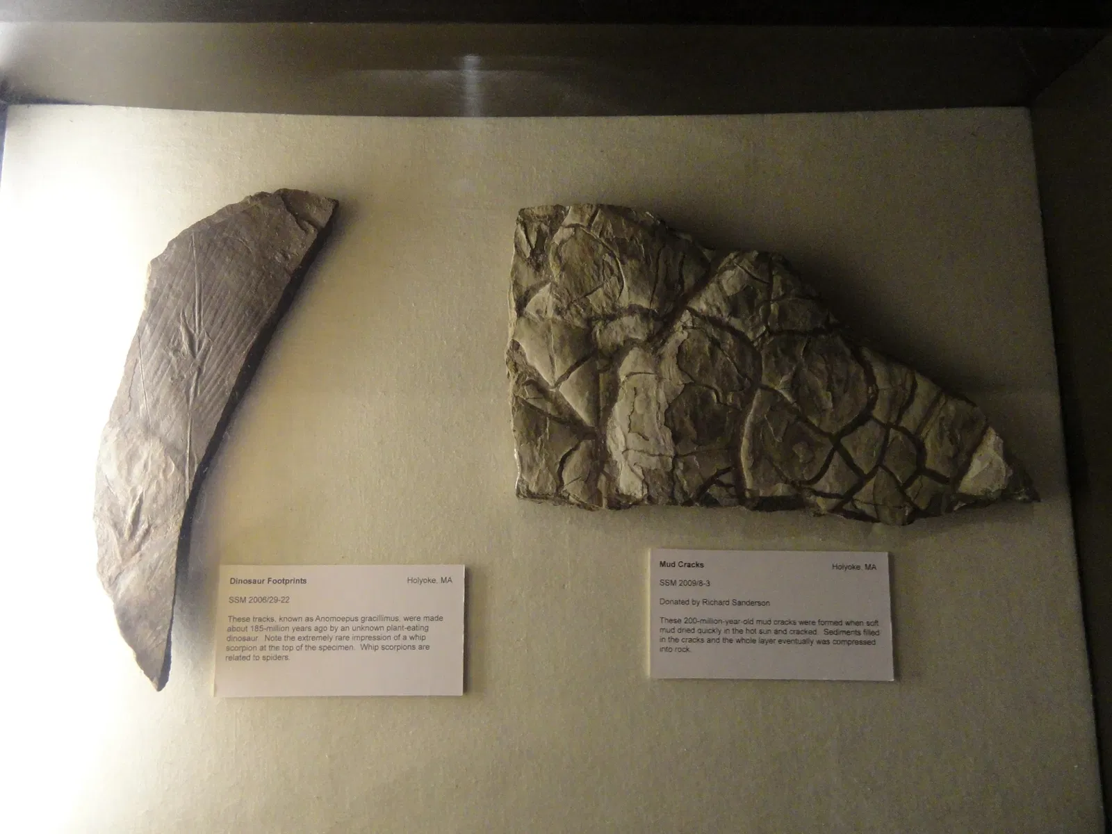 Springfield Science Museum