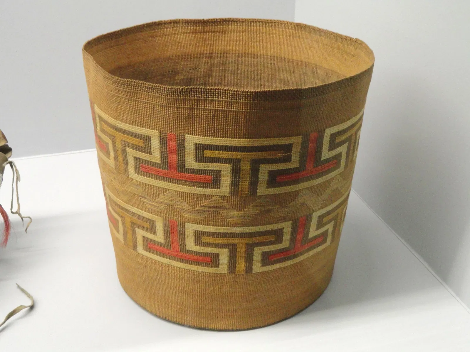 Museo de Ciencias de Springfield