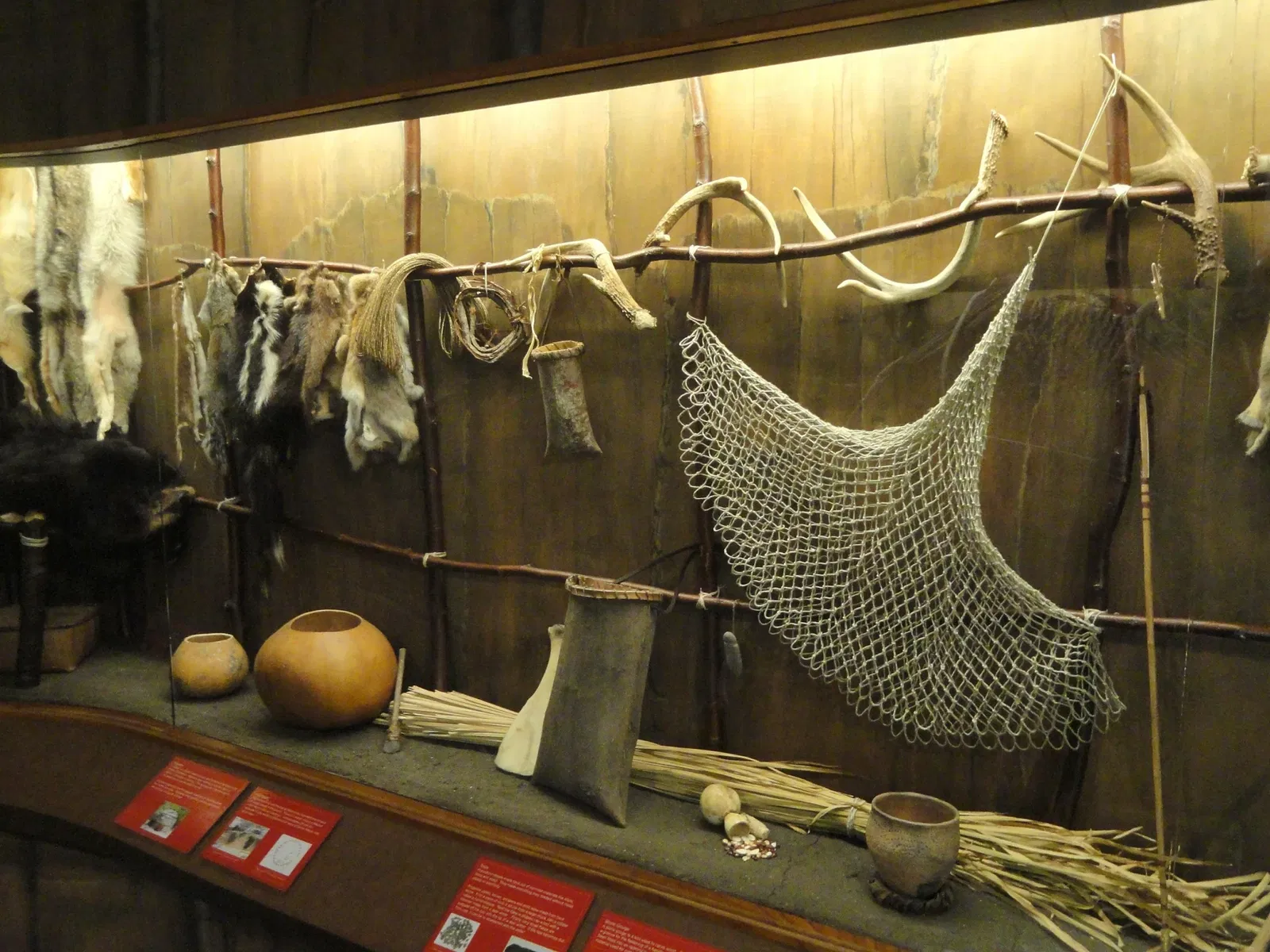 Museo de Ciencias de Springfield