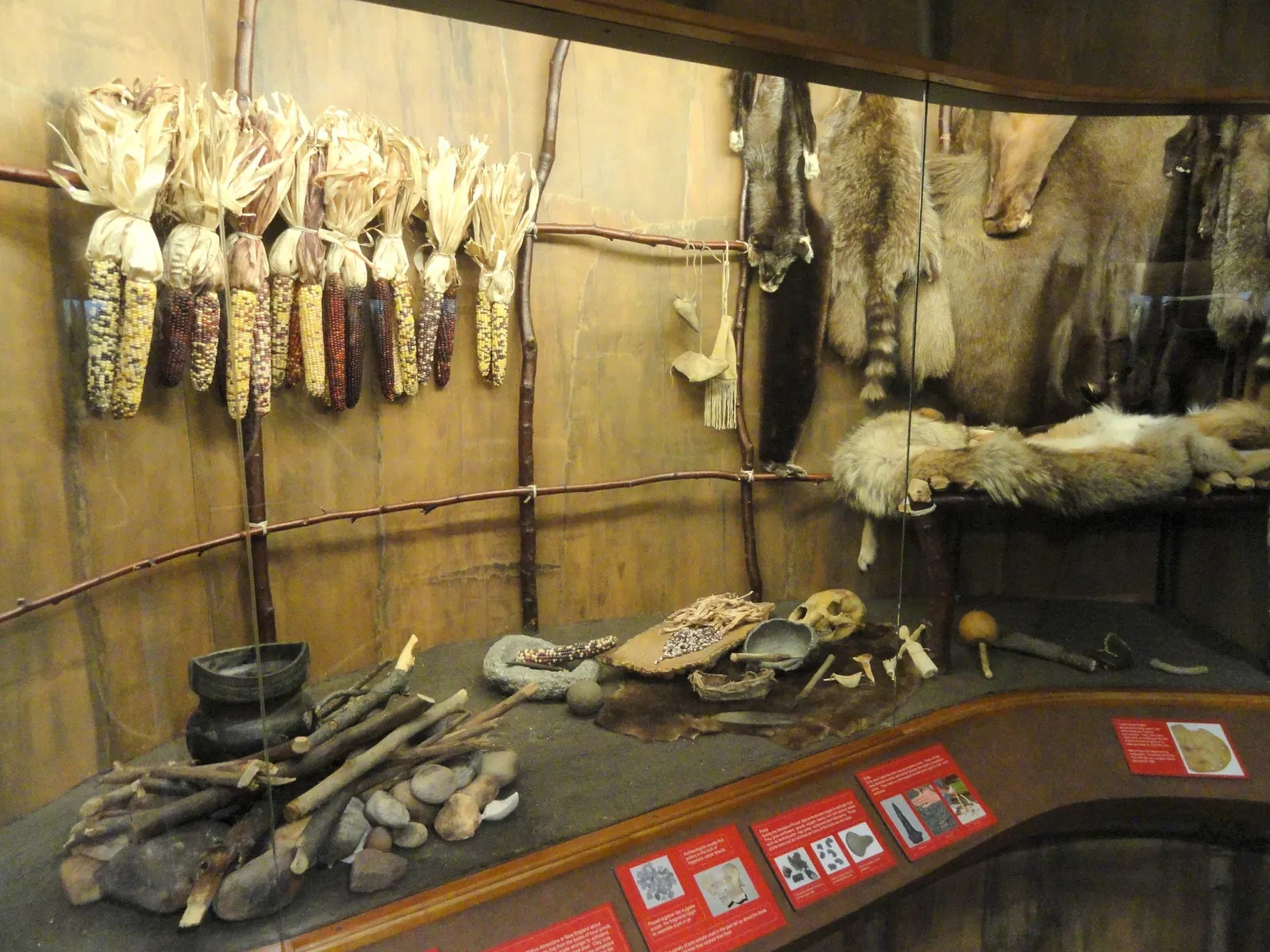 Springfield Science Museum