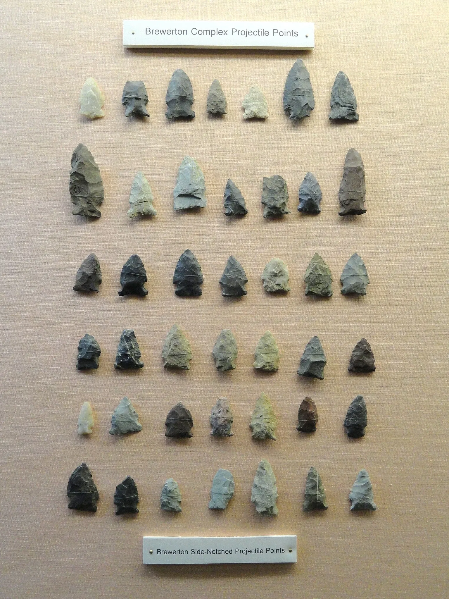 Museo de Ciencias de Springfield