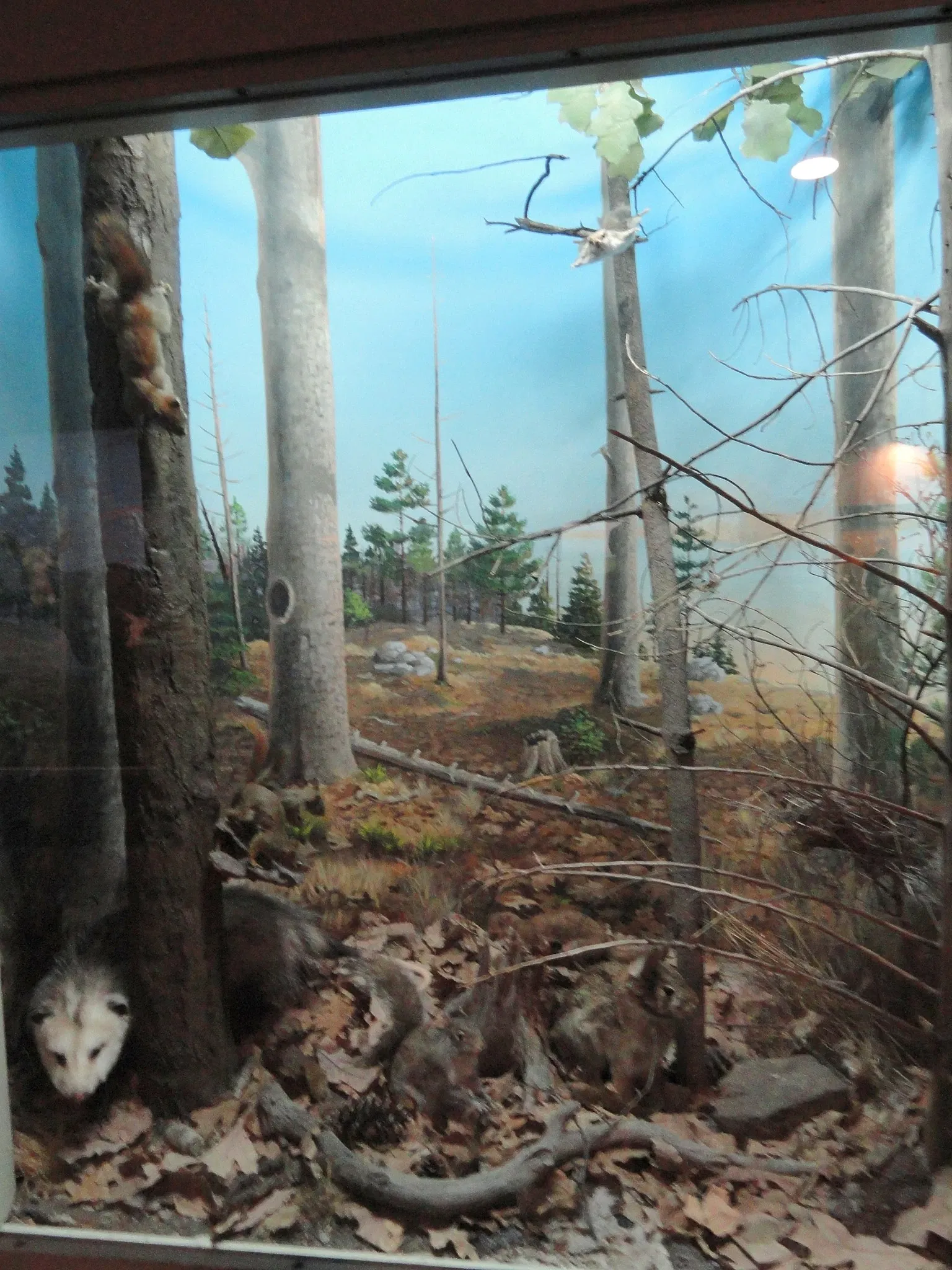 Museo de Ciencias de Springfield