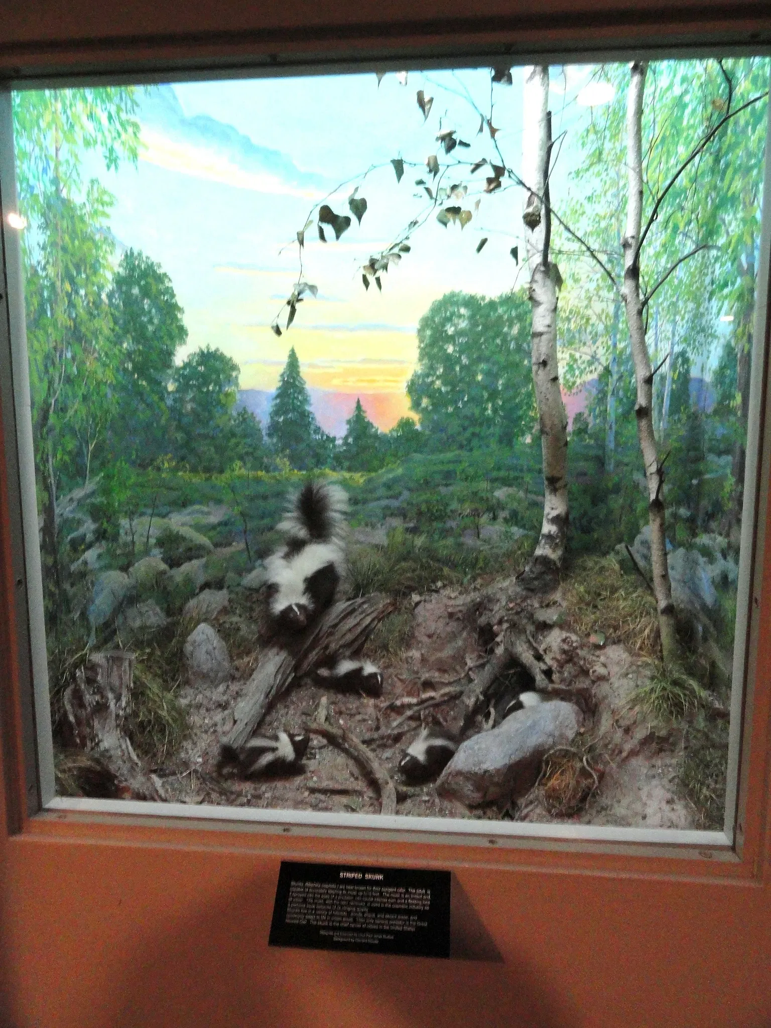 Springfield Science Museum