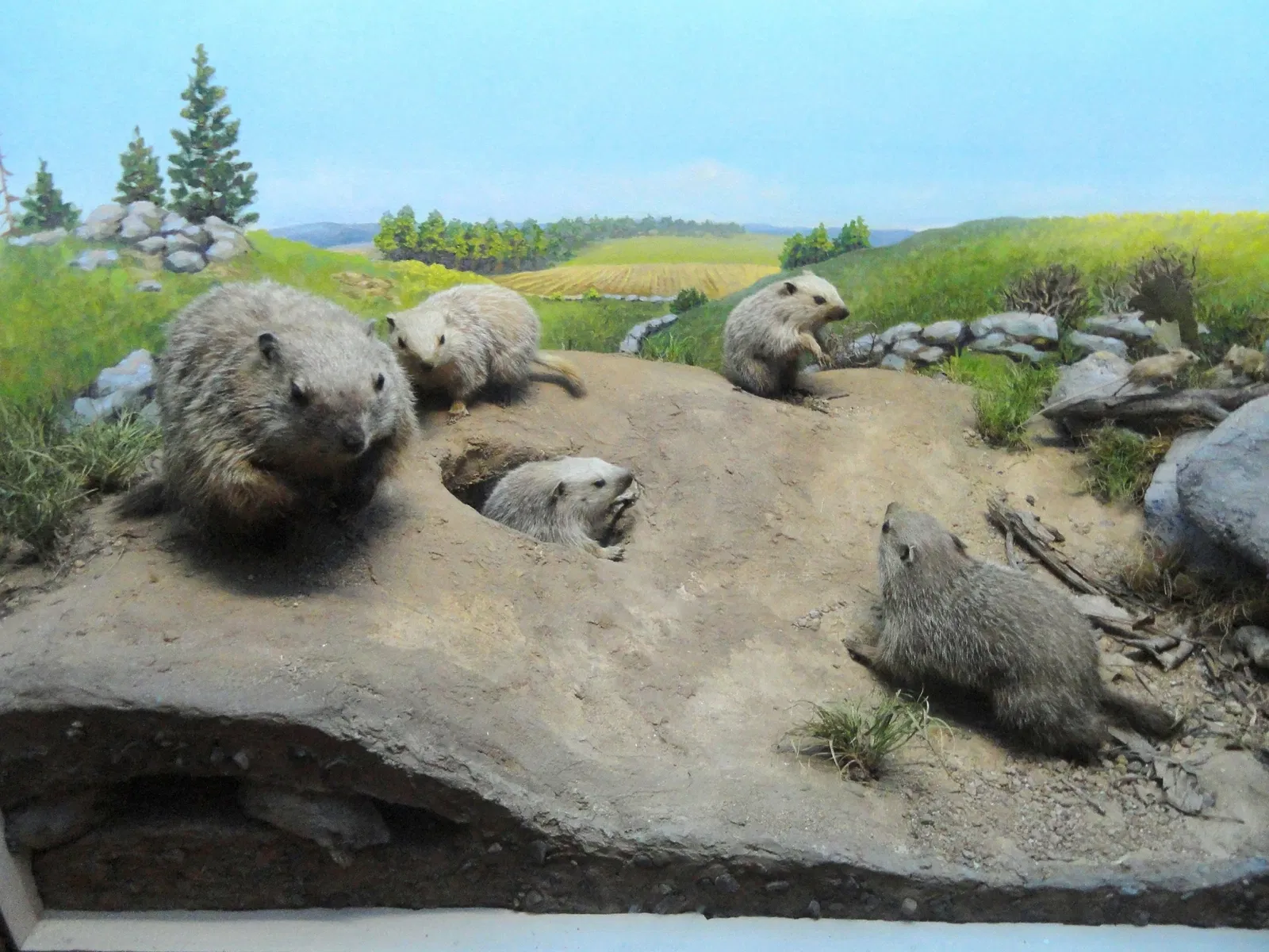 Springfield Science Museum