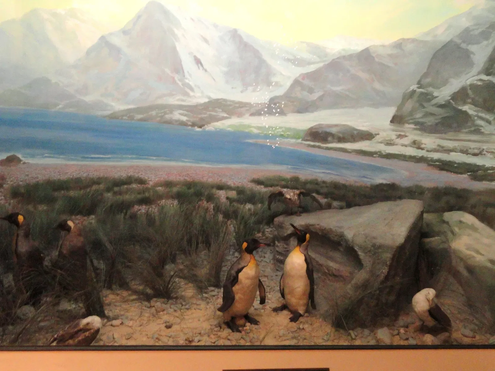 Springfield Science Museum