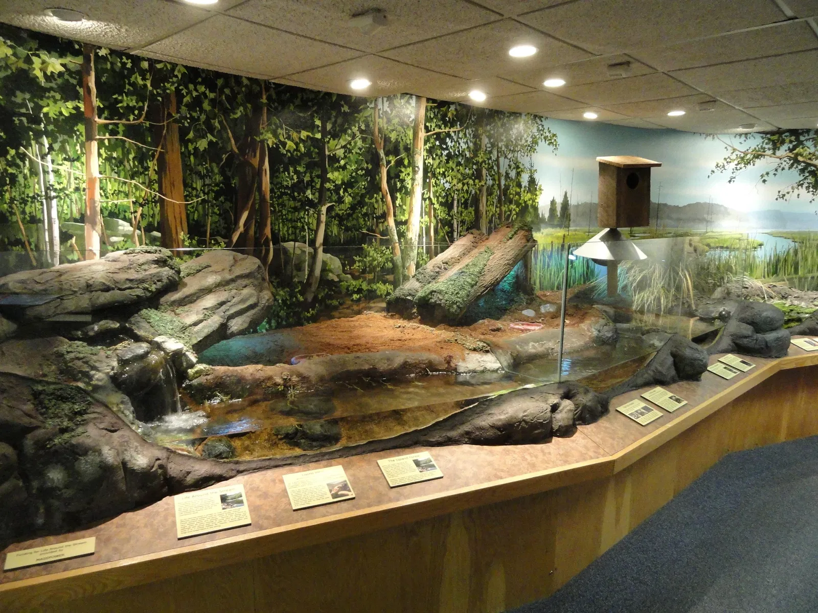 Springfield Science Museum