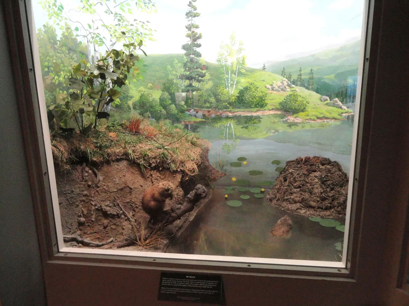 Springfield Science Museum