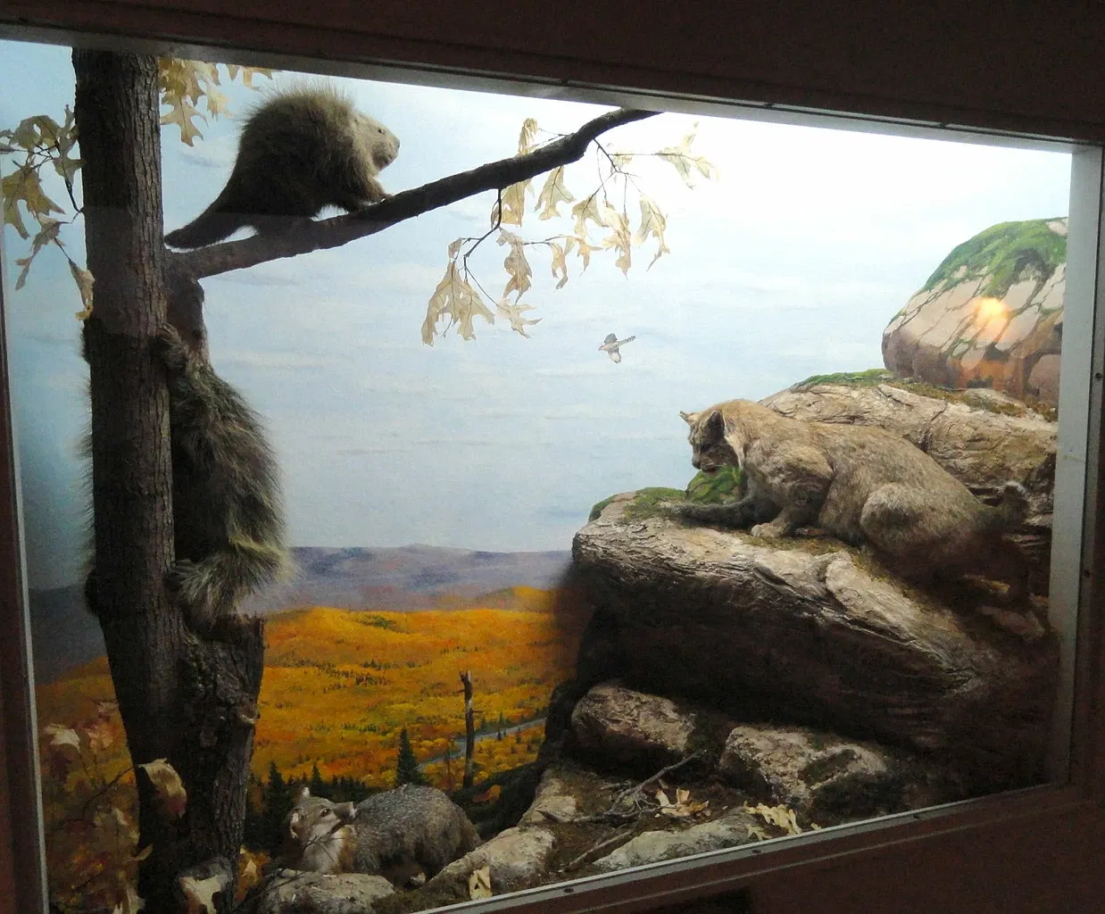 Springfield Science Museum