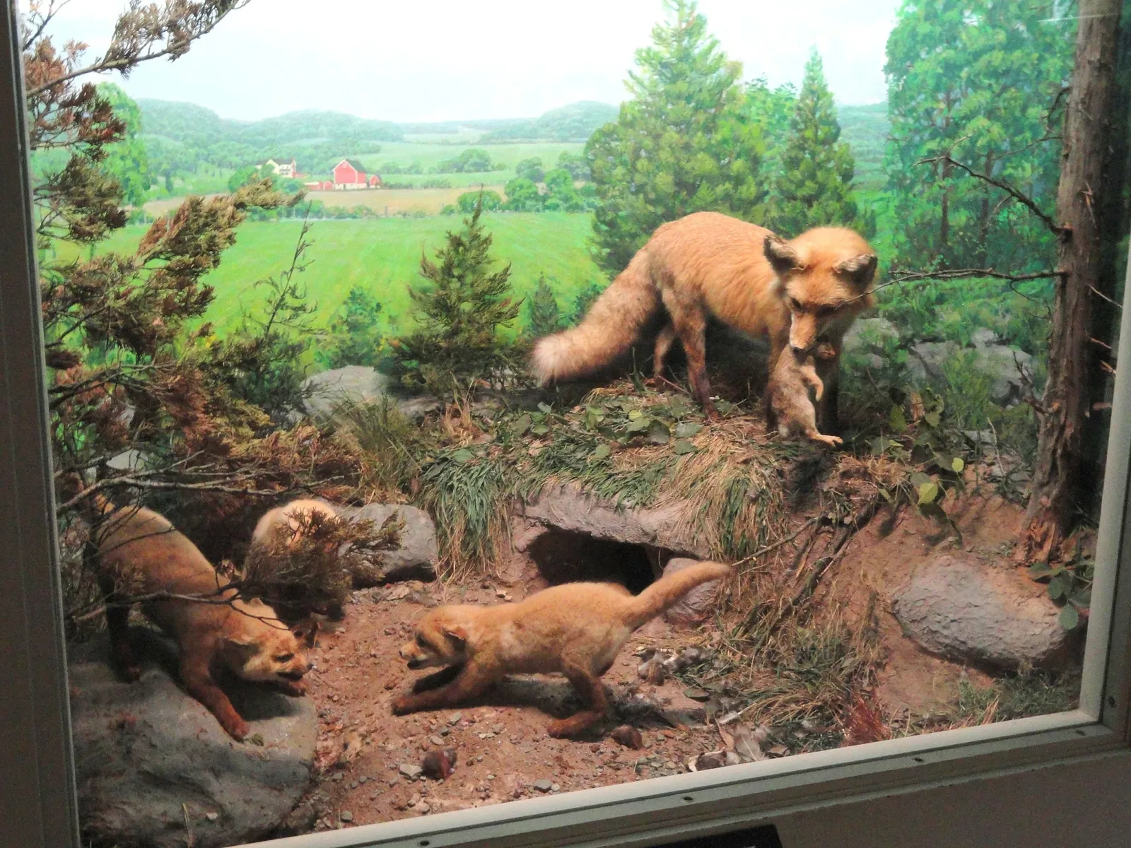 Museo de Ciencias de Springfield