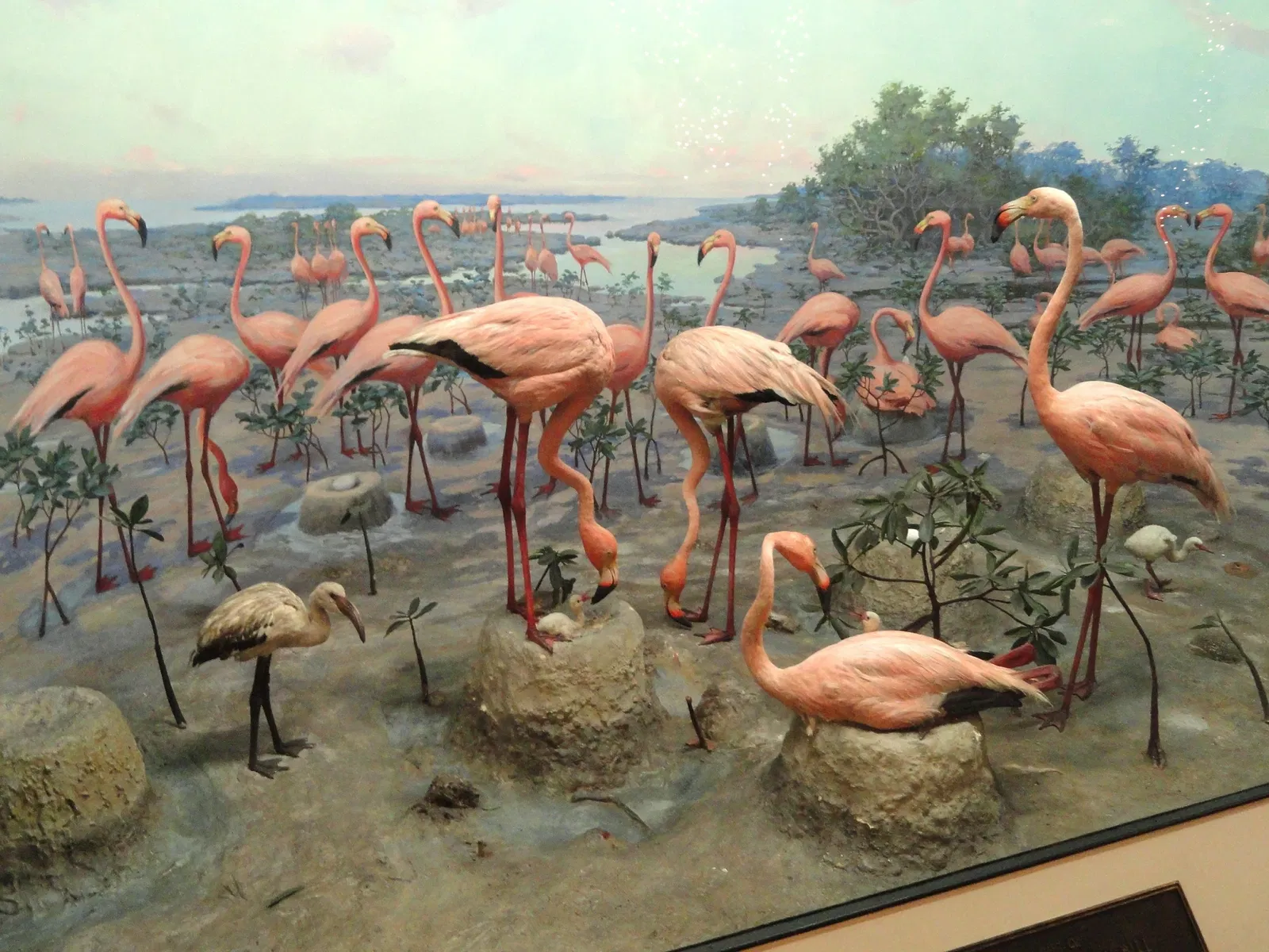 Museo de Ciencias de Springfield