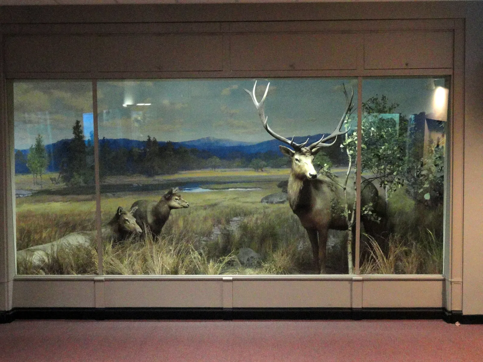 Springfield Science Museum