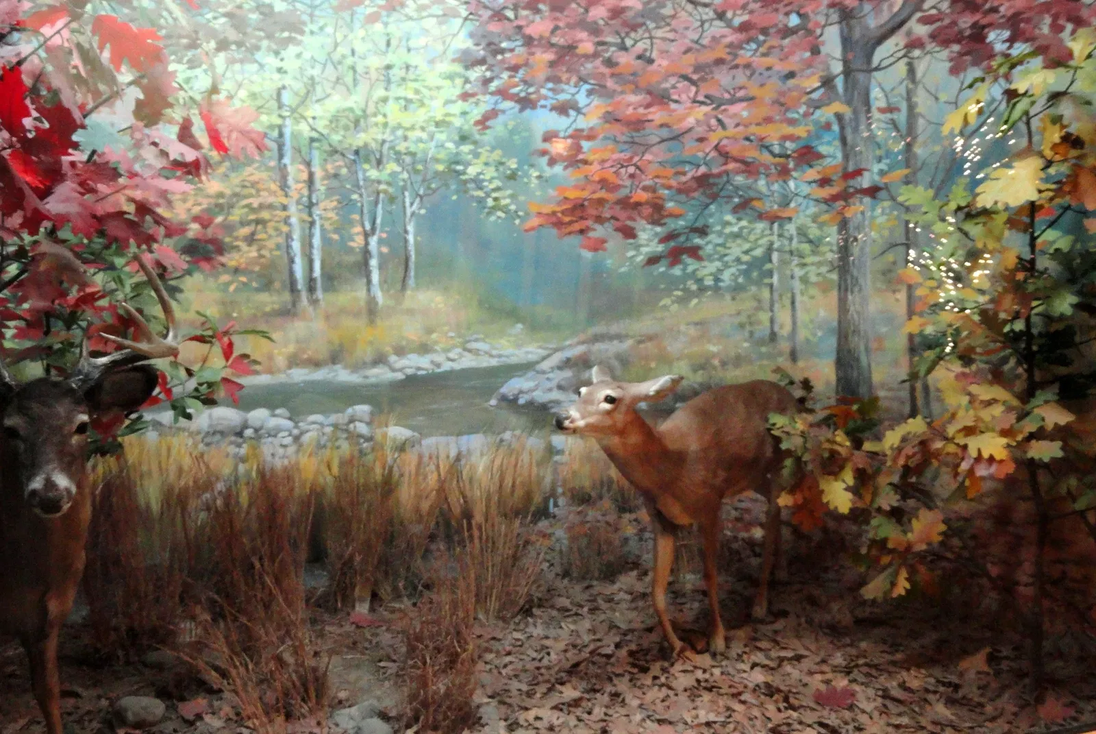 Springfield Science Museum