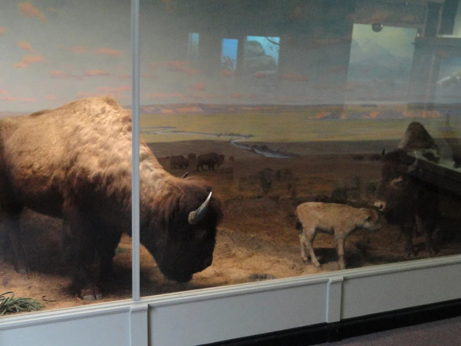 Springfield Science Museum